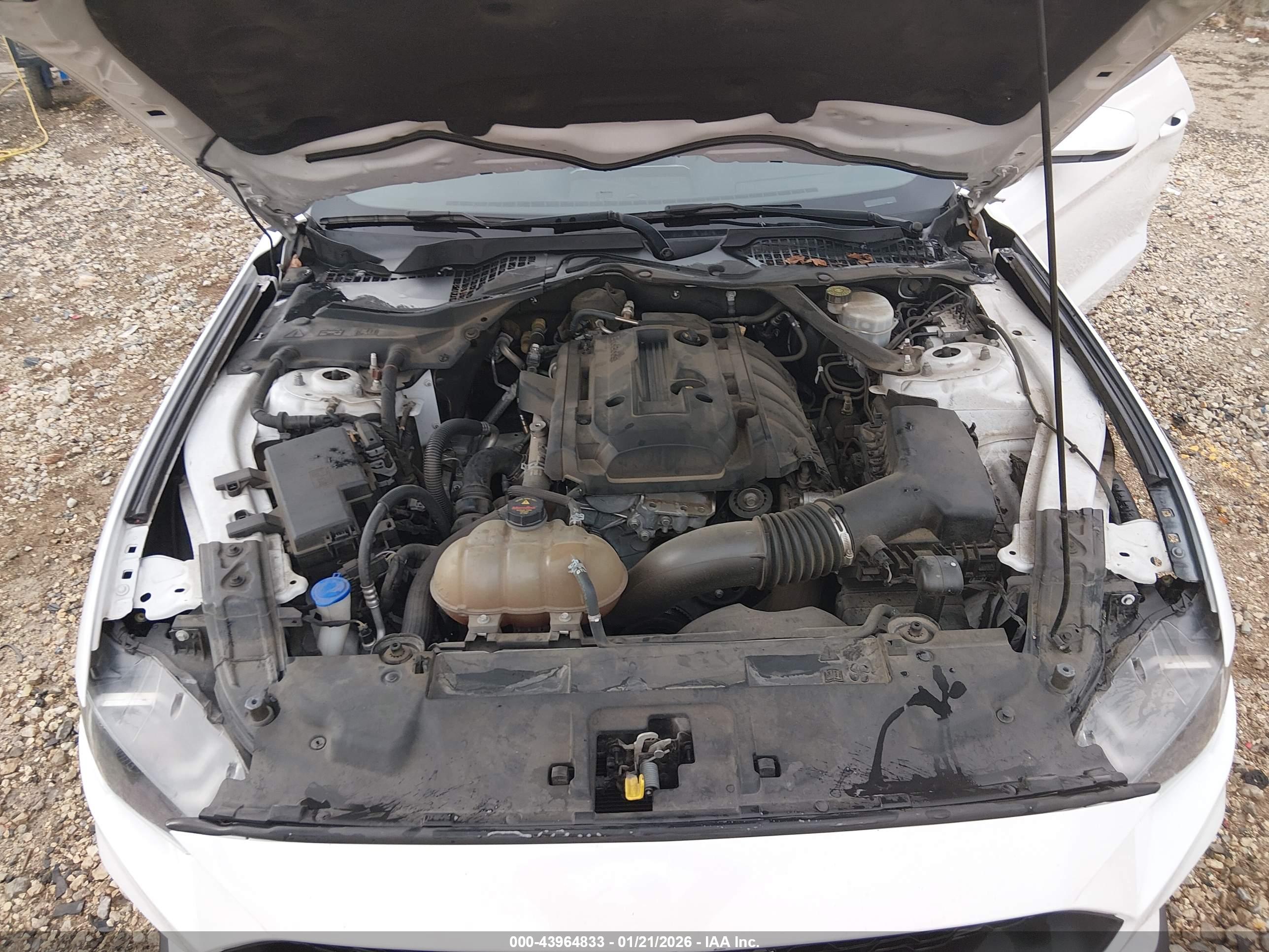 FORD MUSTANG image 10