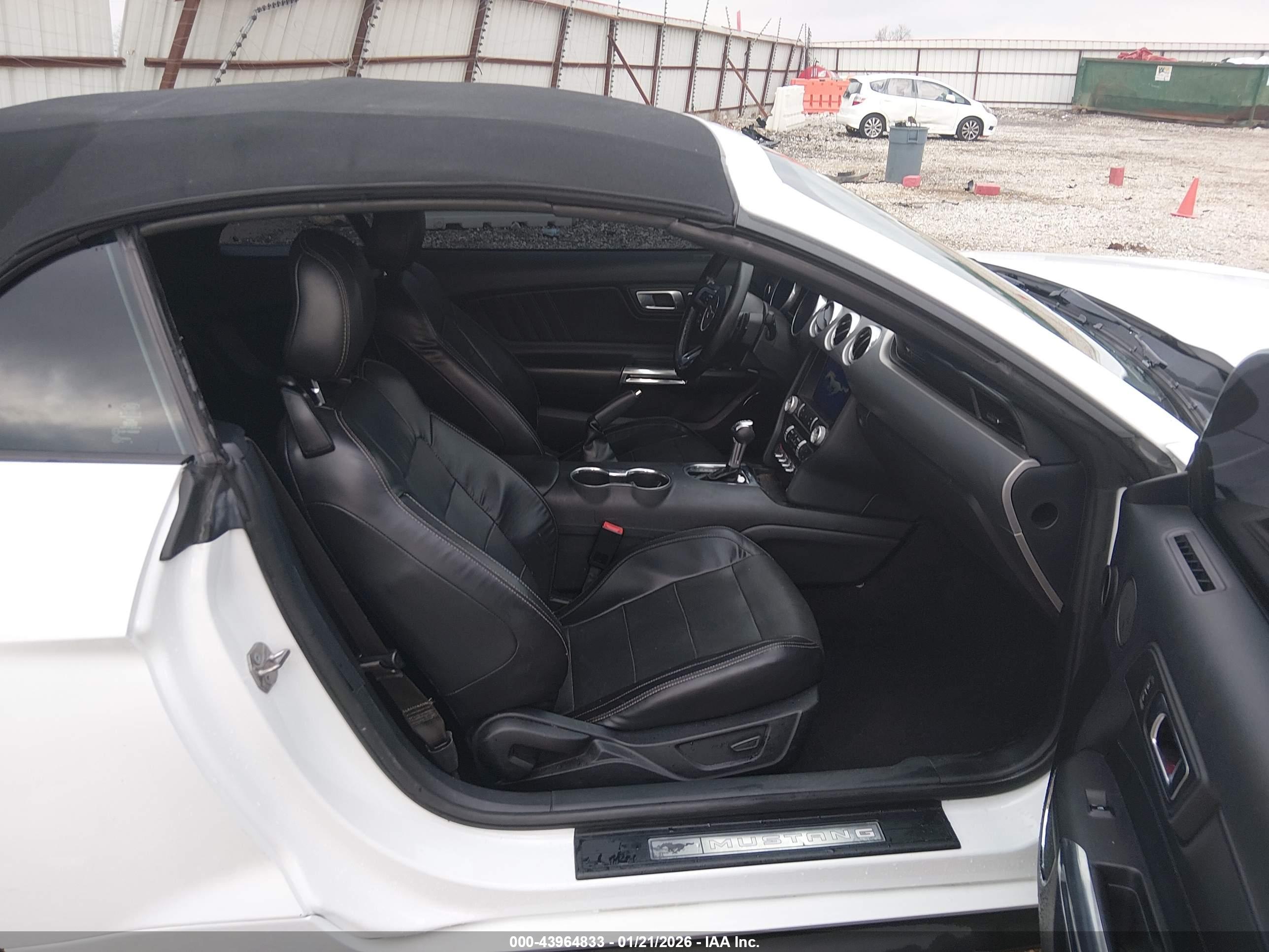 FORD MUSTANG image 5