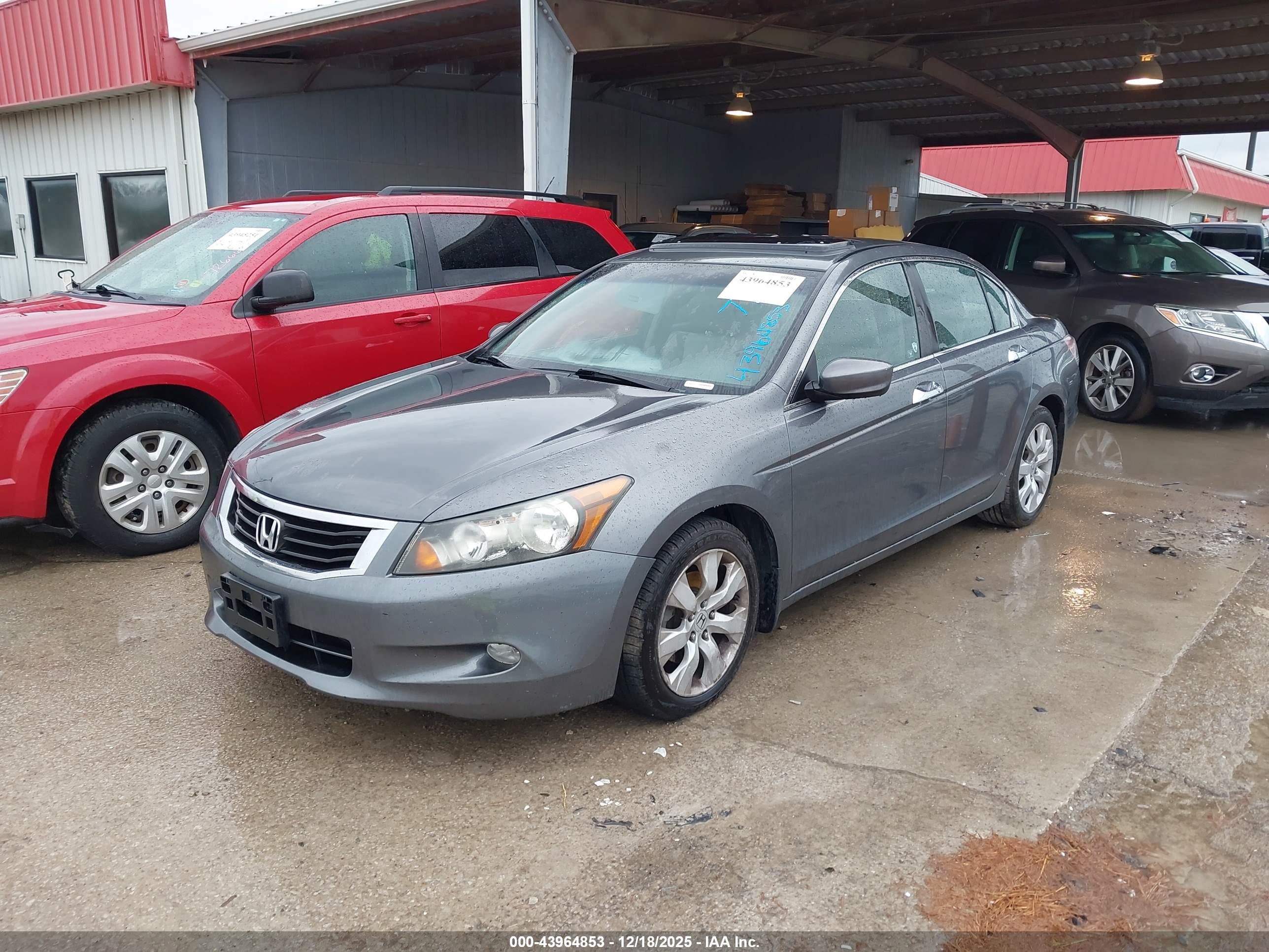 HONDA ACCORD image 2