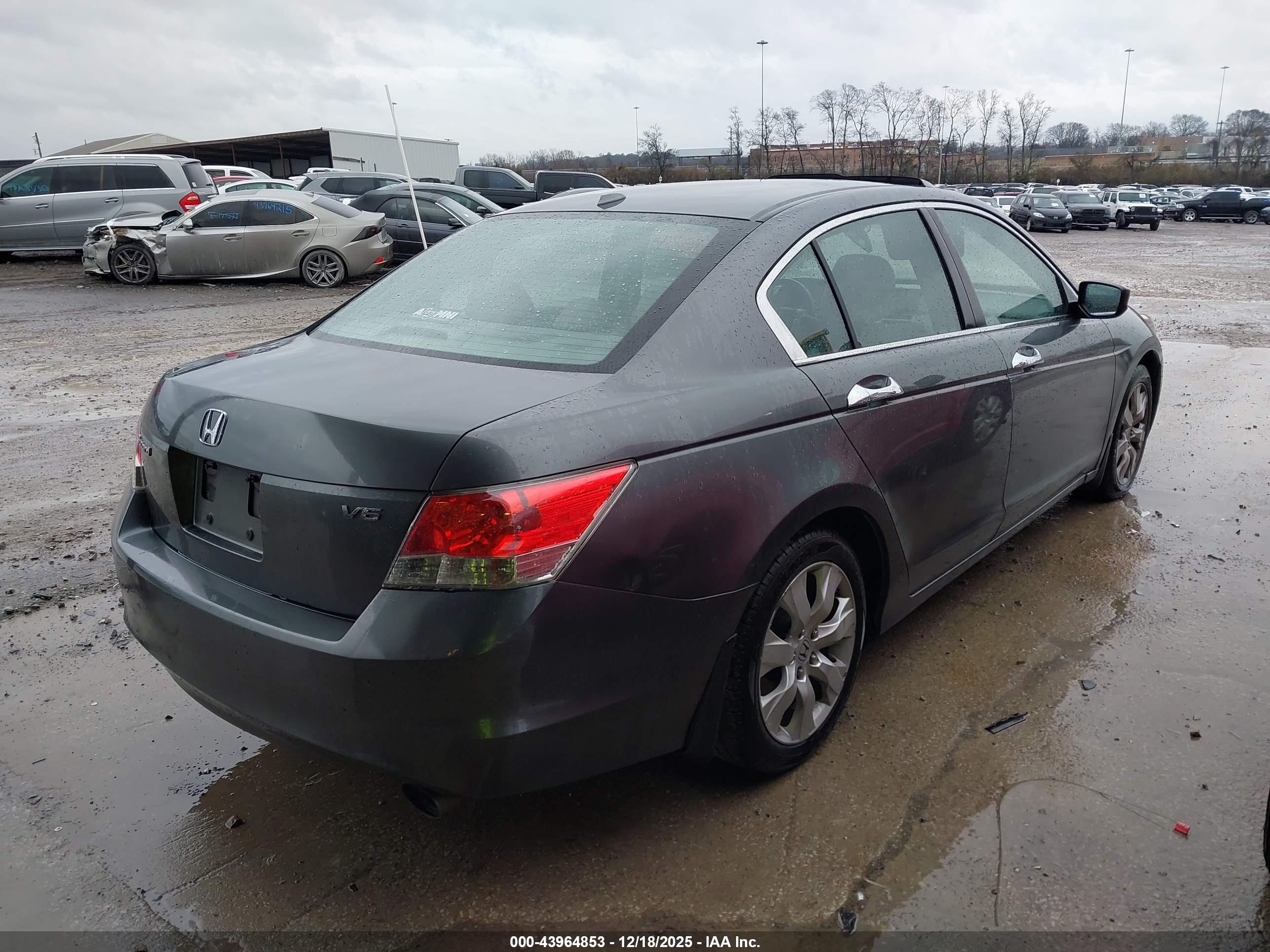 HONDA ACCORD image 4