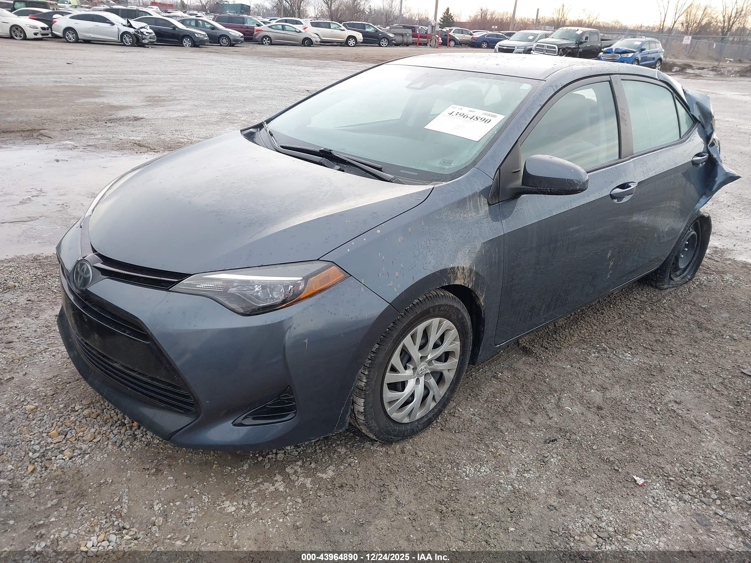 TOYOTA COROLLA image 2