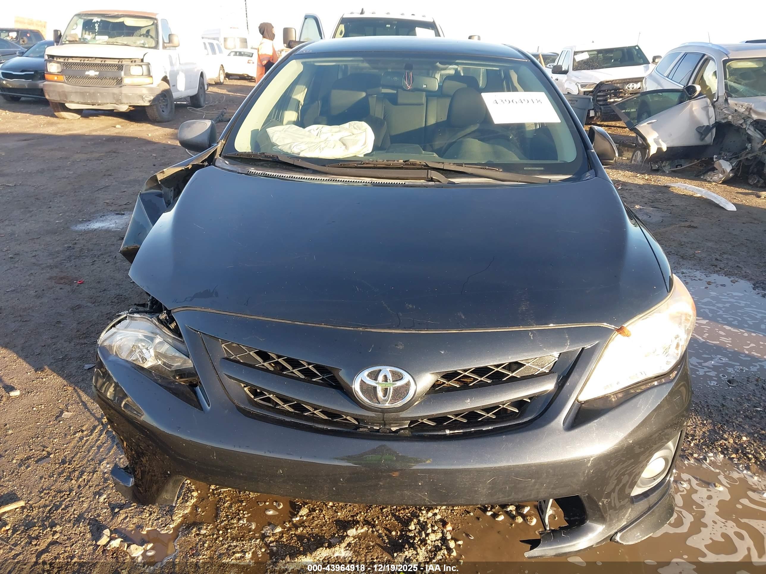 TOYOTA COROLLA image 6