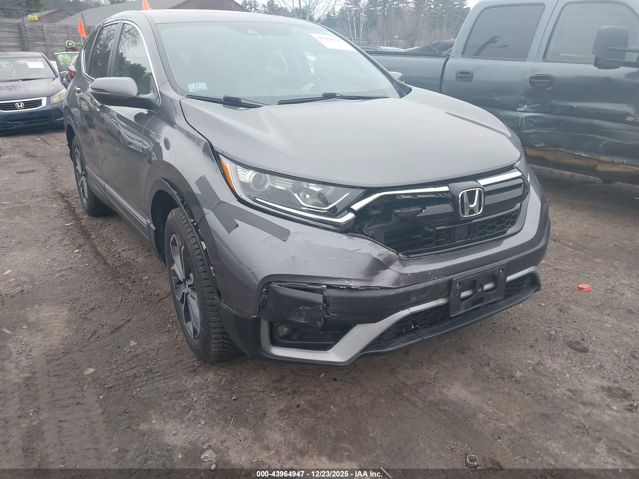 HONDA CR-V image 6