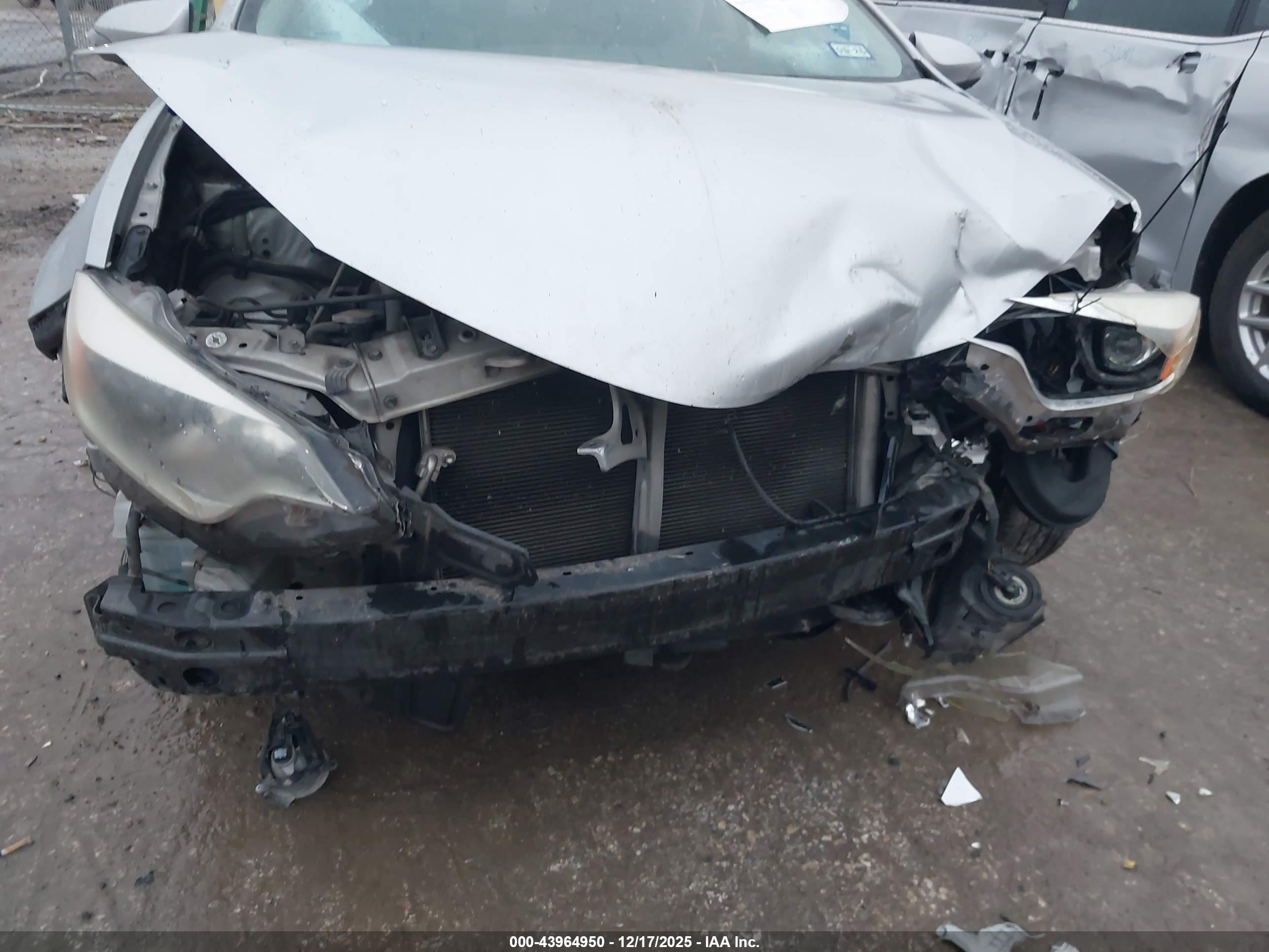 TOYOTA COROLLA image 6