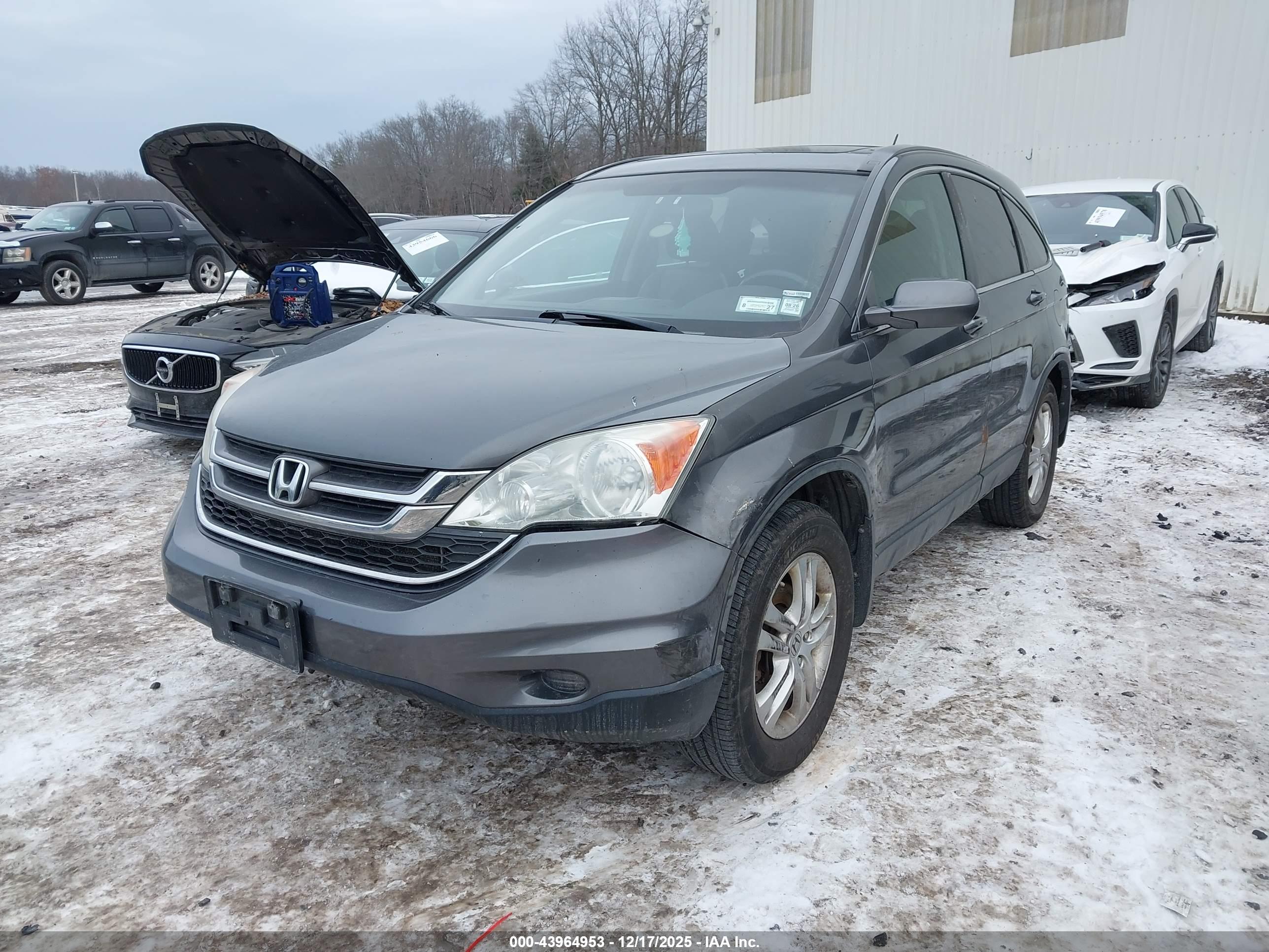 HONDA CR-V image 6