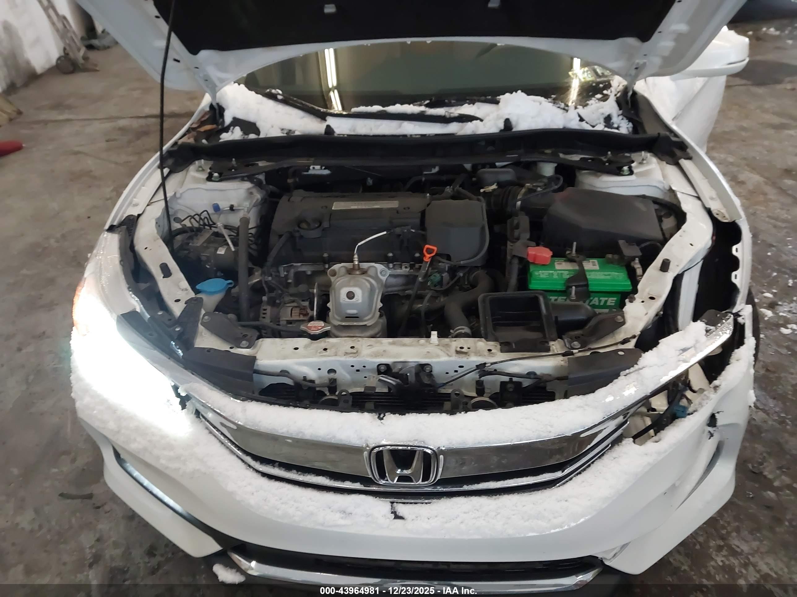 HONDA ACCORD image 10
