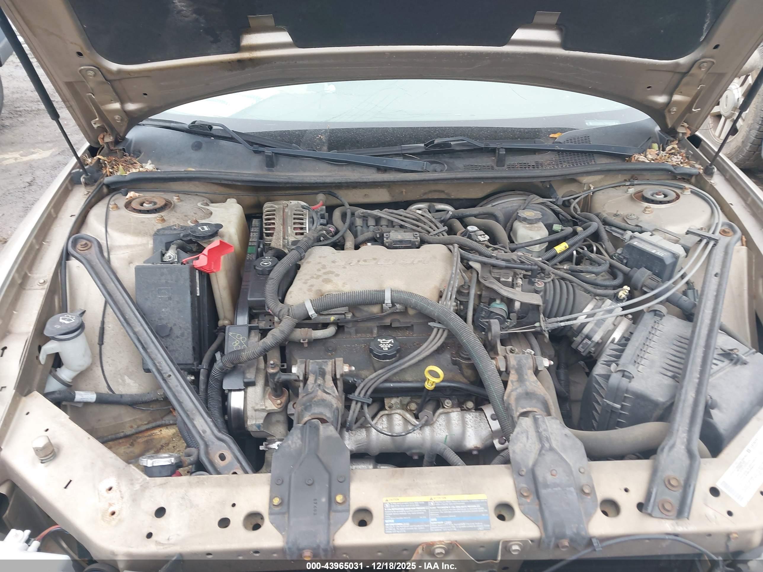 BUICK CENTURY image 10