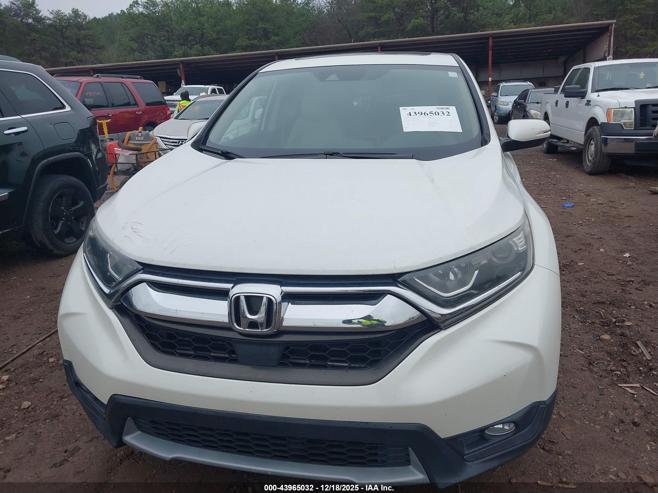 HONDA CR-V image 6