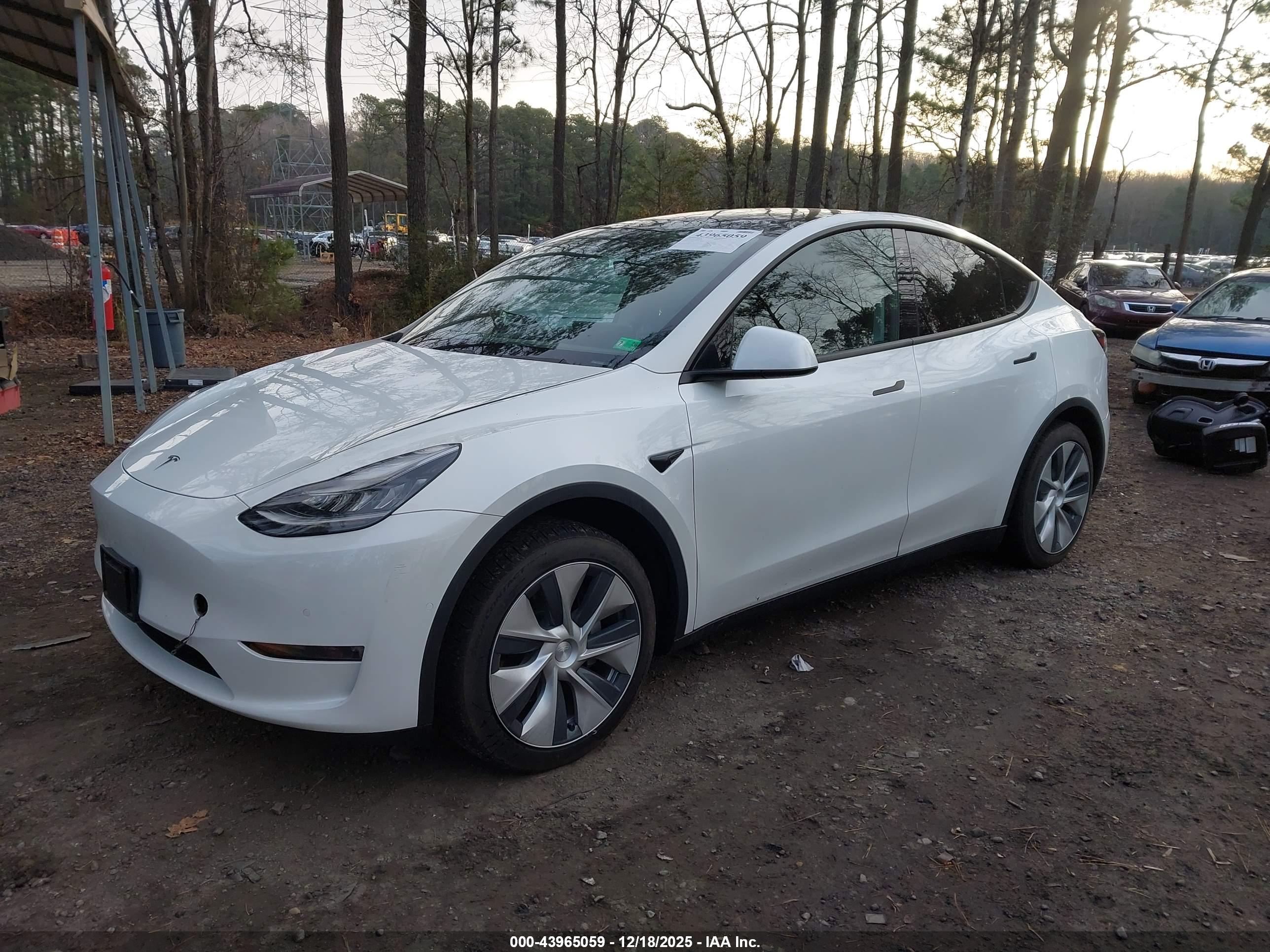 TESLA MODEL image 2