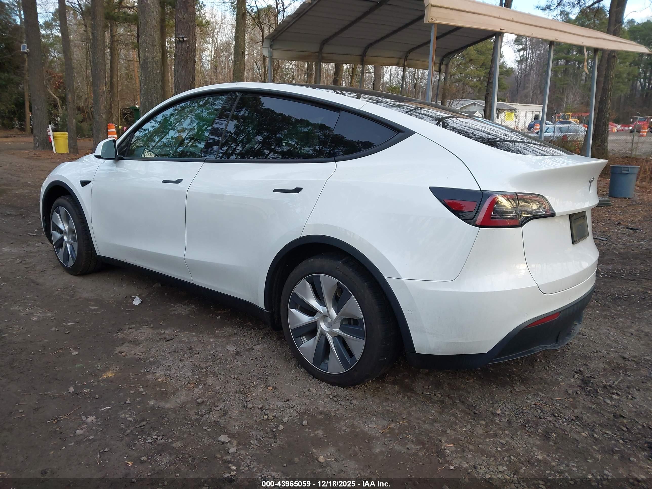 TESLA MODEL image 3
