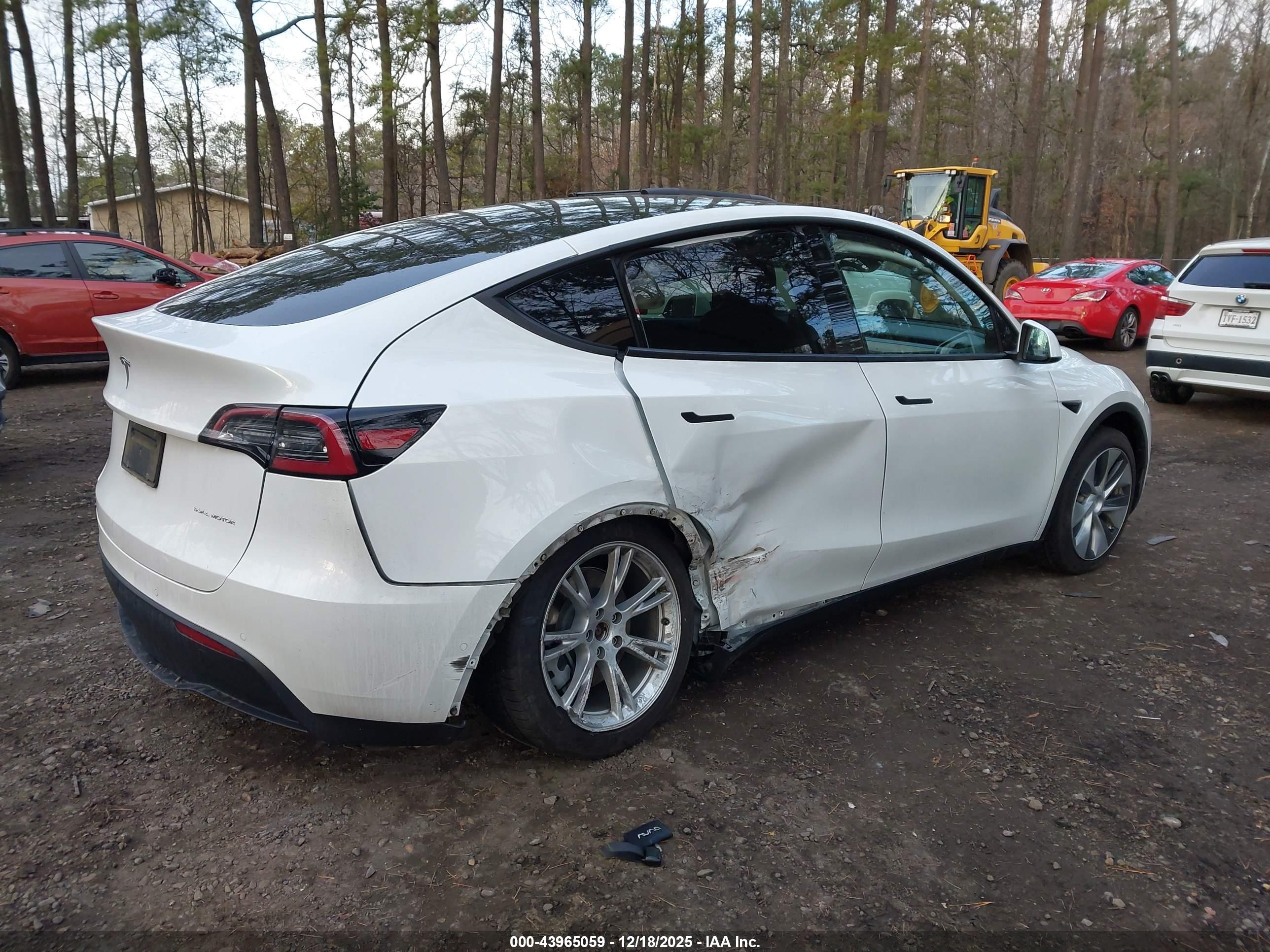 TESLA MODEL image 4