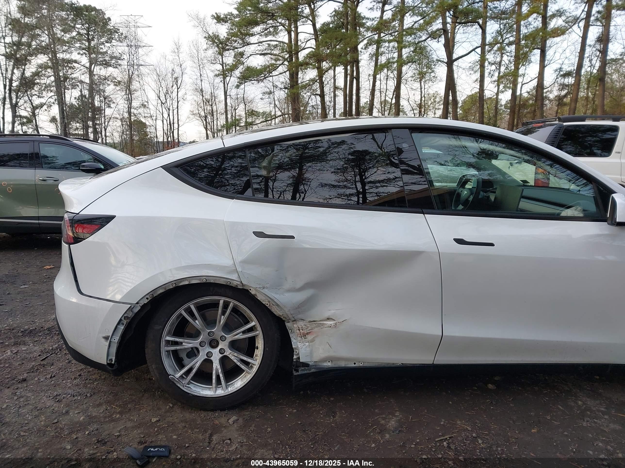 TESLA MODEL image 6