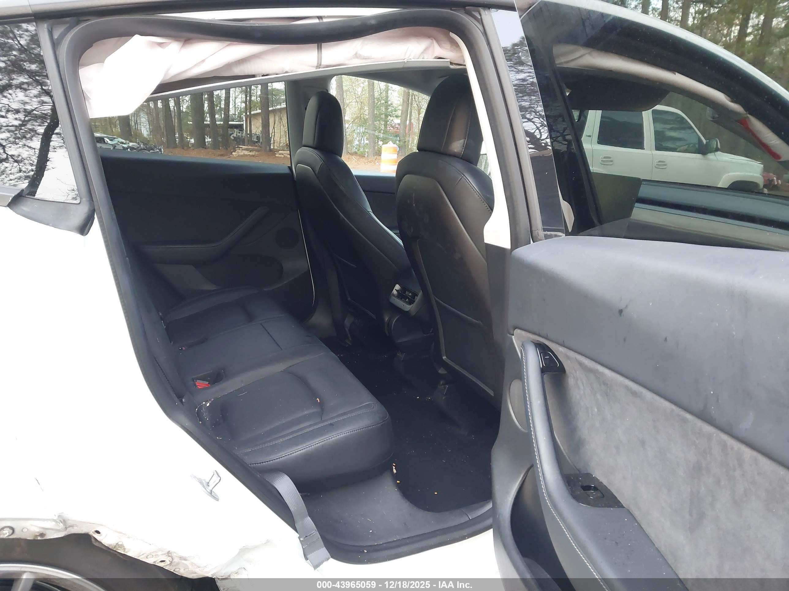 TESLA MODEL image 8