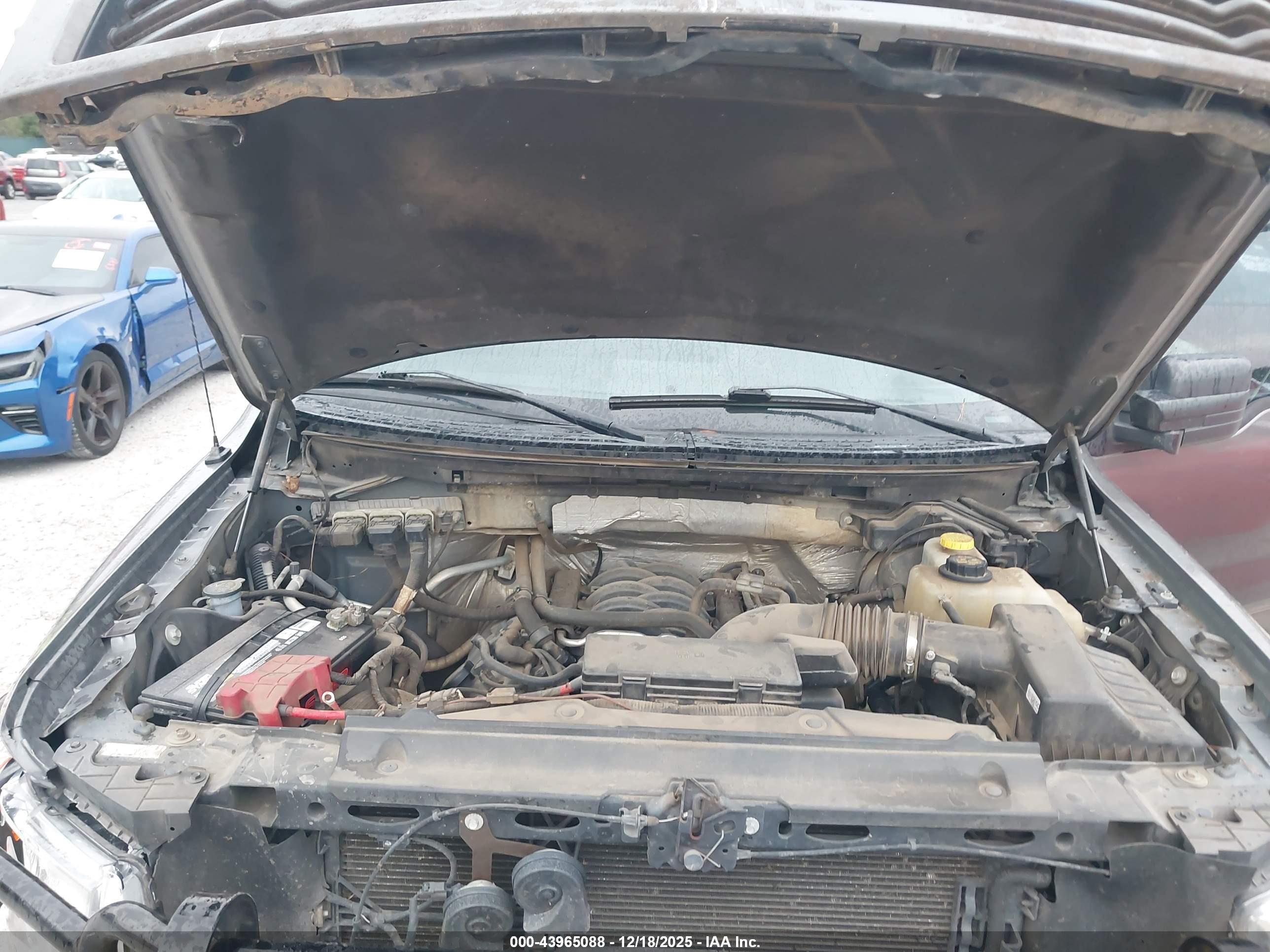 FORD F-150 image 10