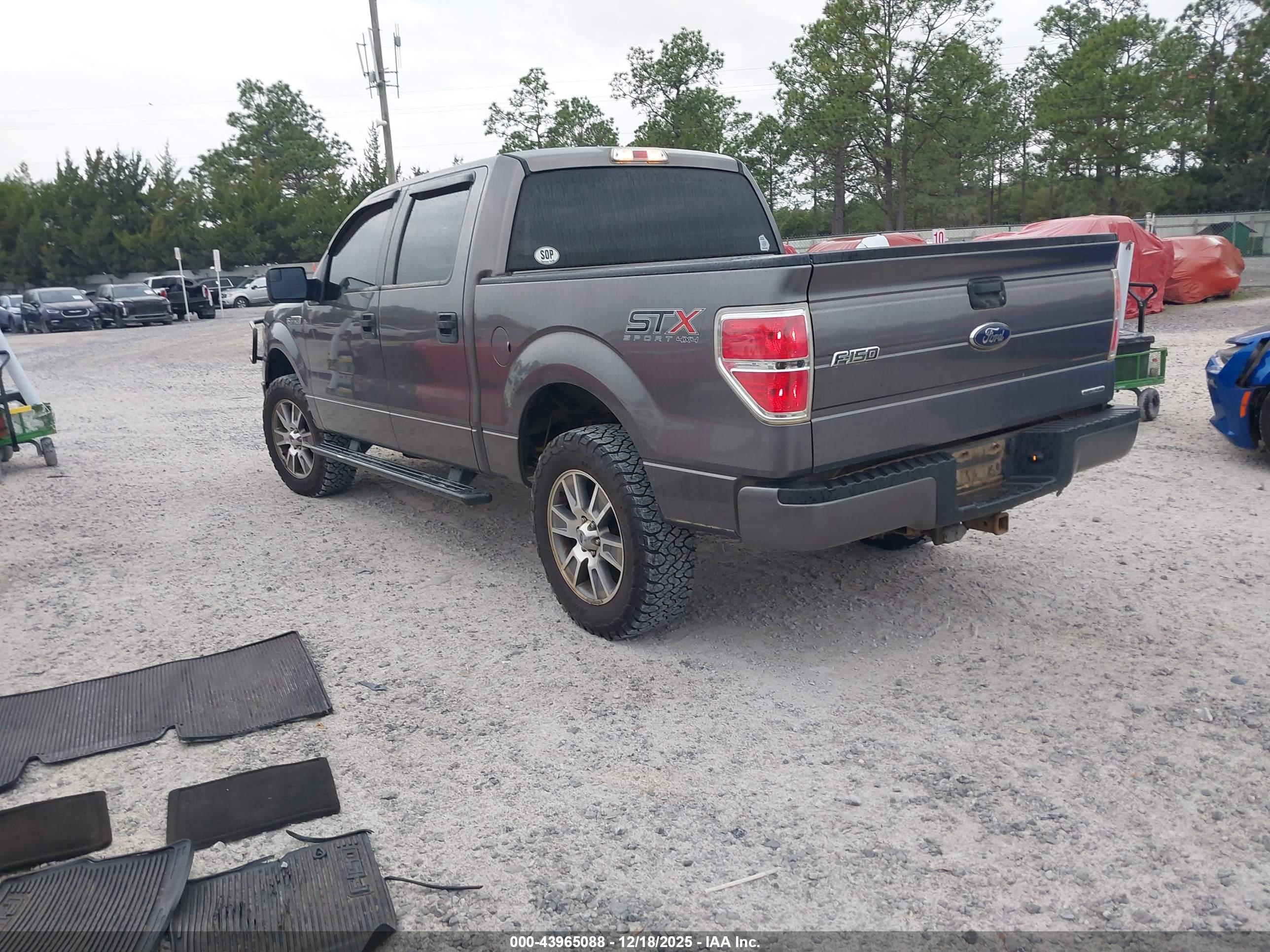 FORD F-150 image 3