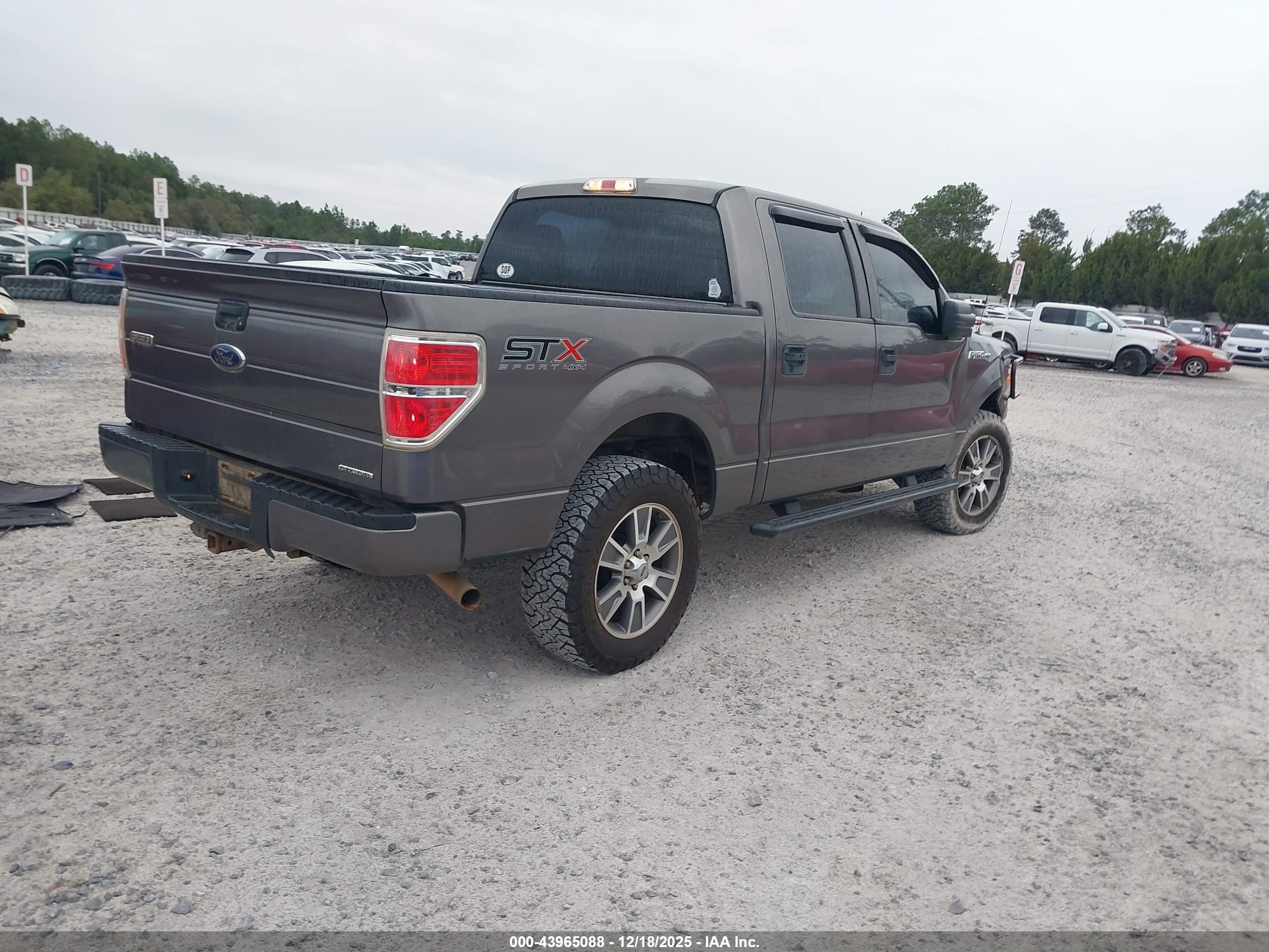 FORD F-150 image 4