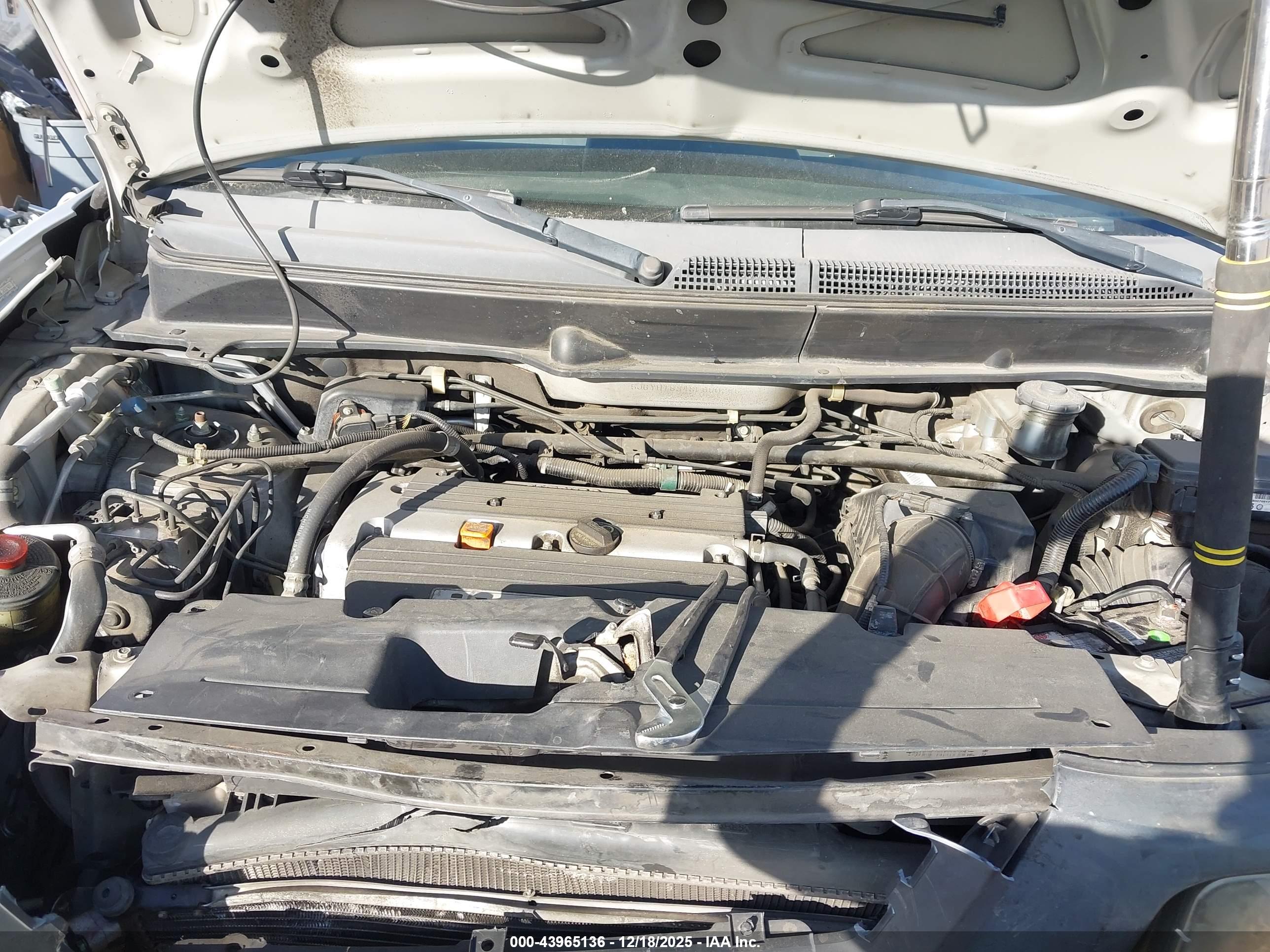 HONDA ELEMENT image 10