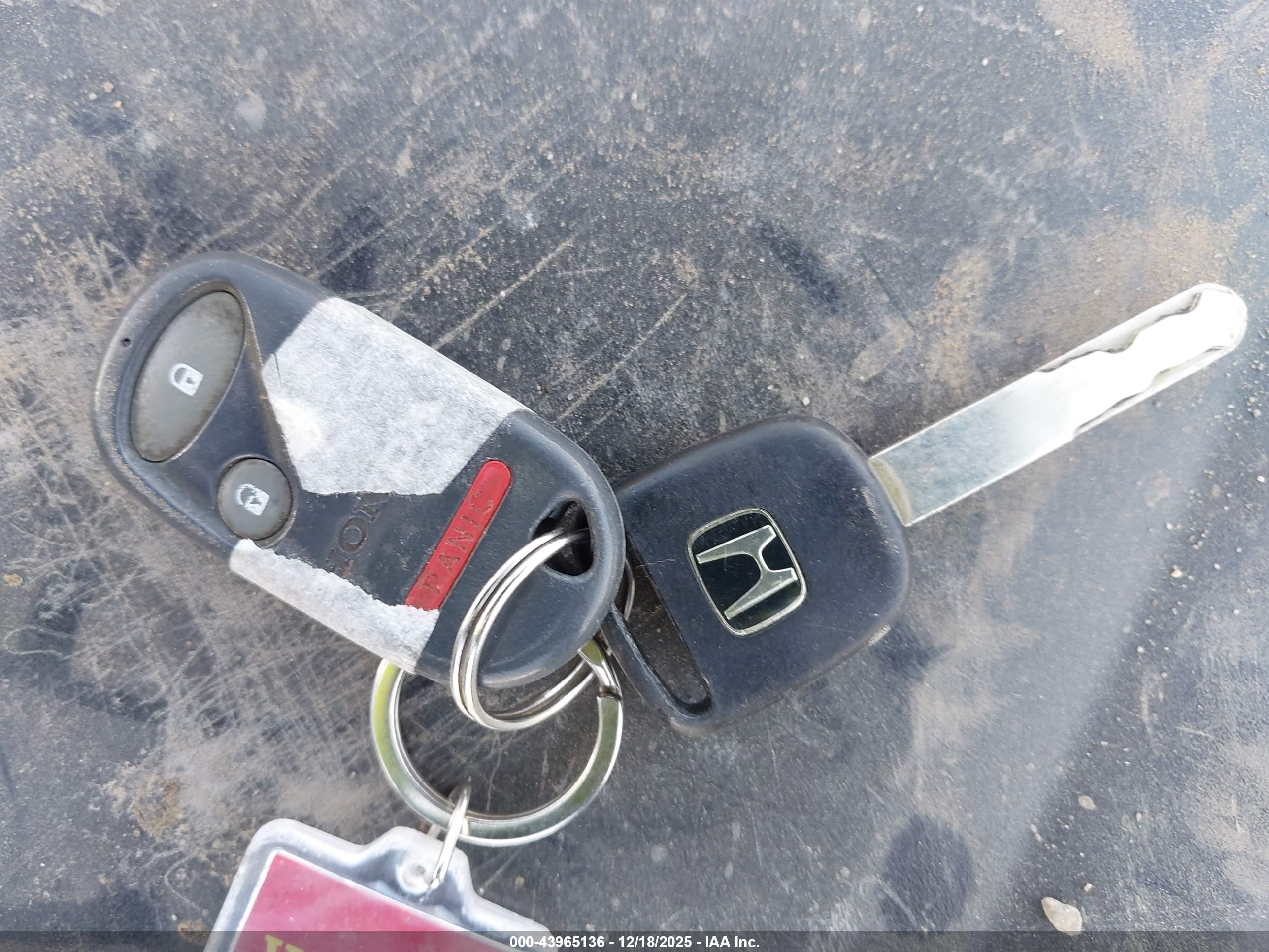 HONDA ELEMENT image 11
