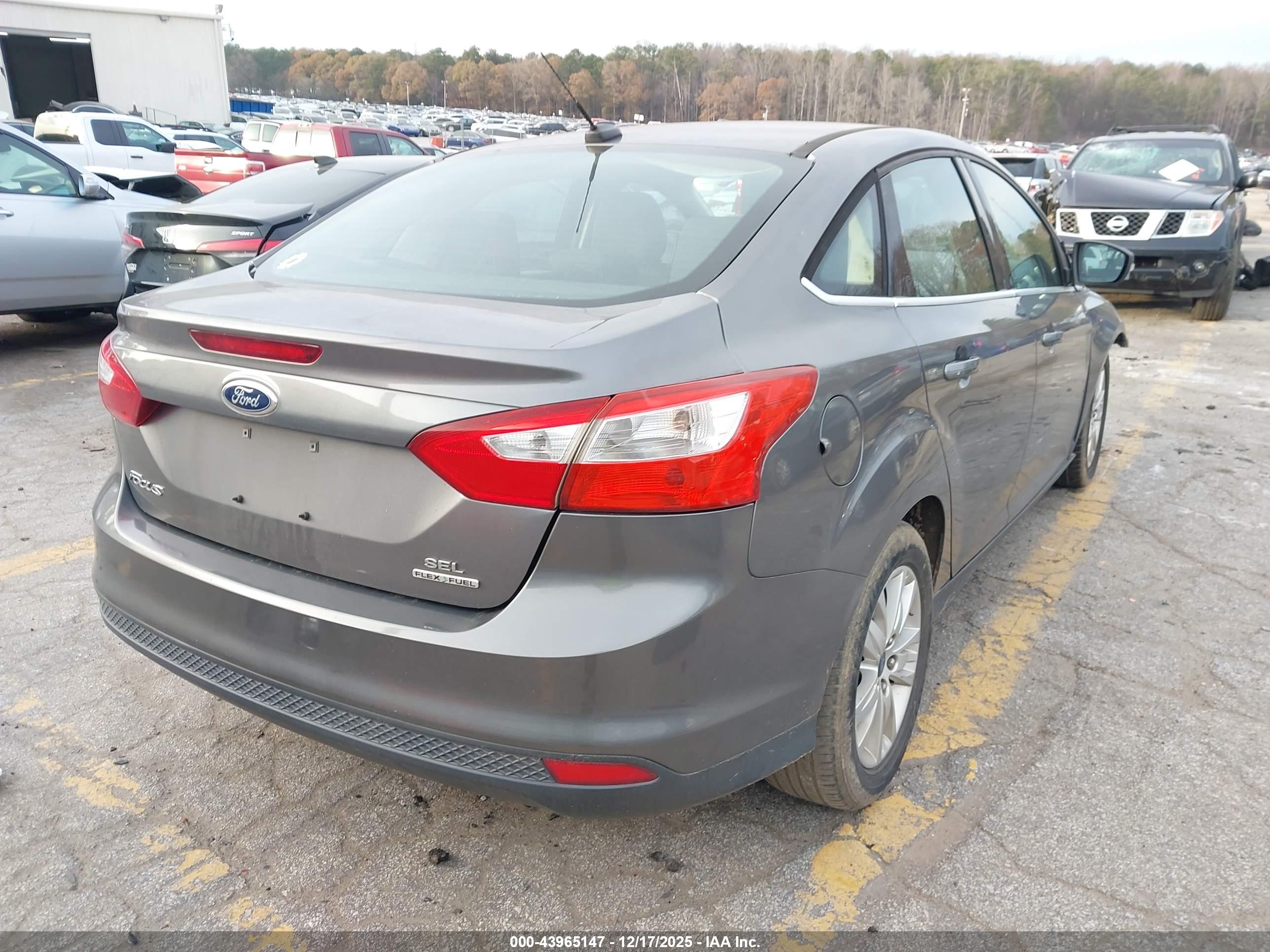 FORD FOCUS image 4