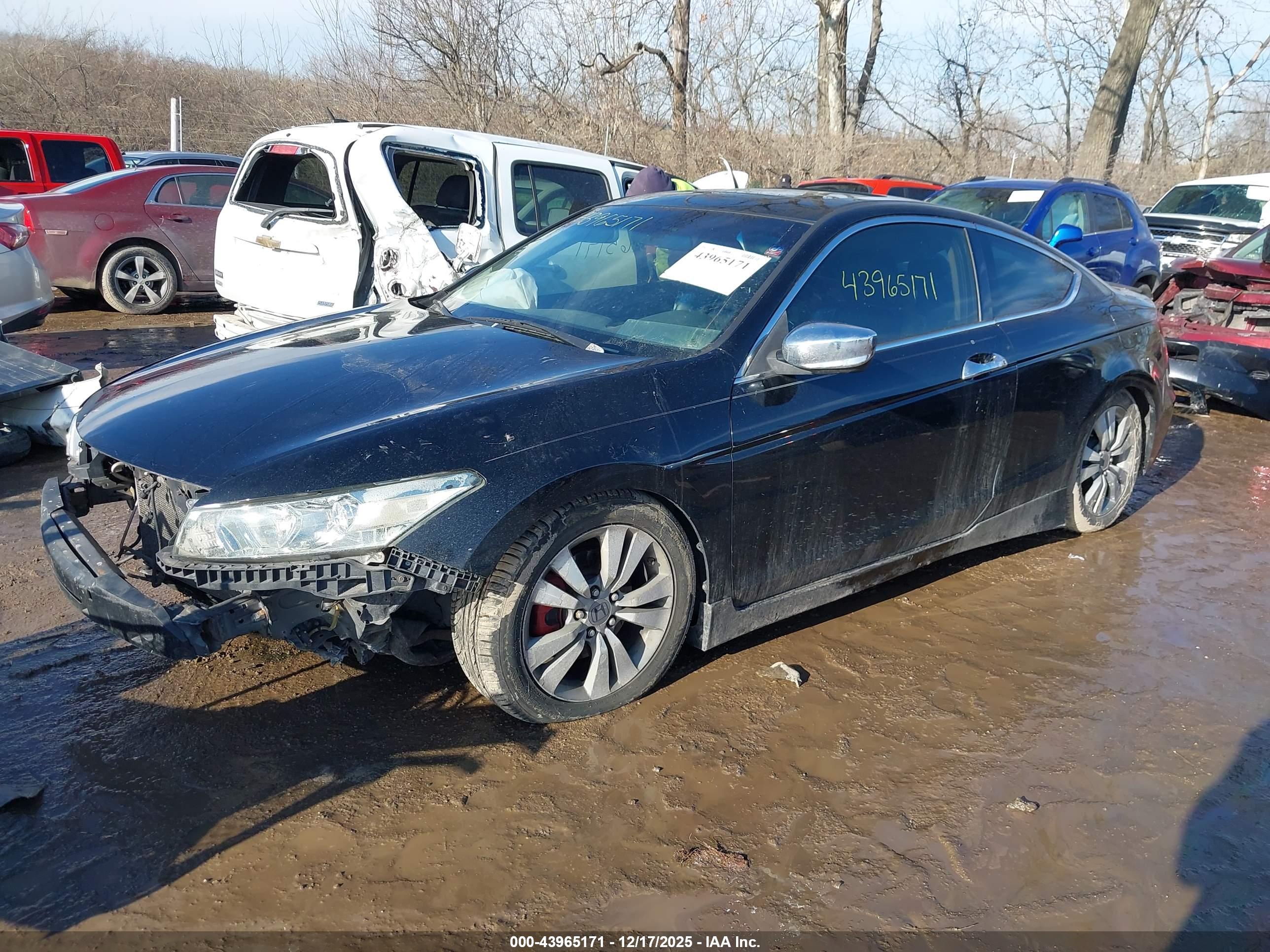 HONDA ACCORD image 2