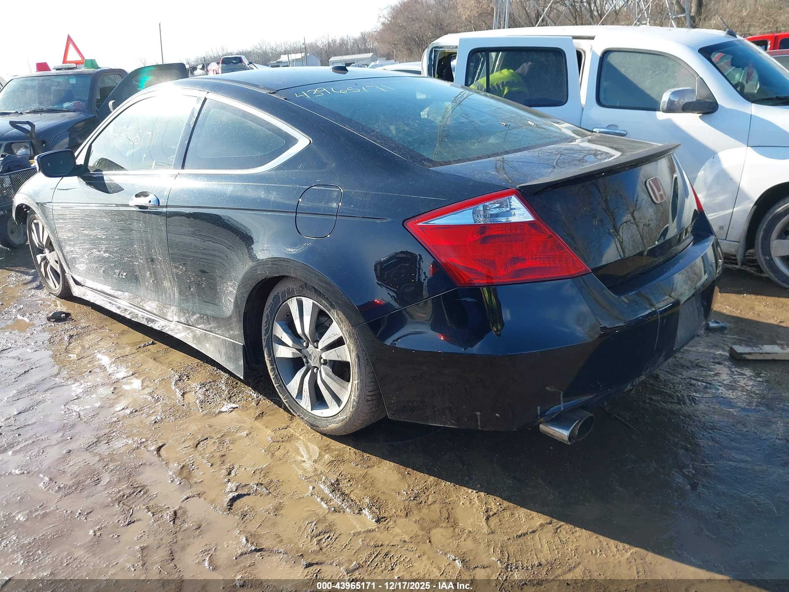HONDA ACCORD image 3