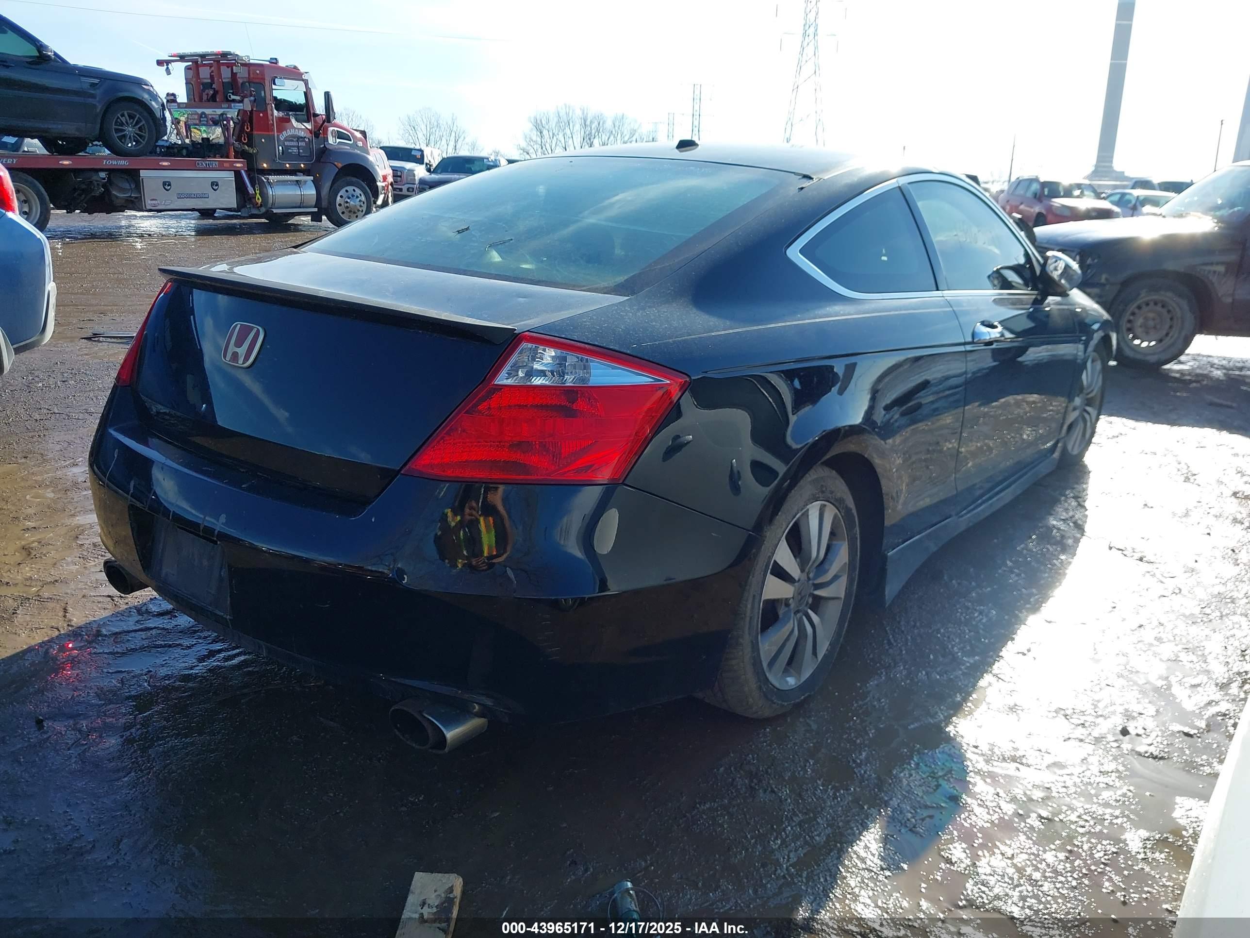 HONDA ACCORD image 4