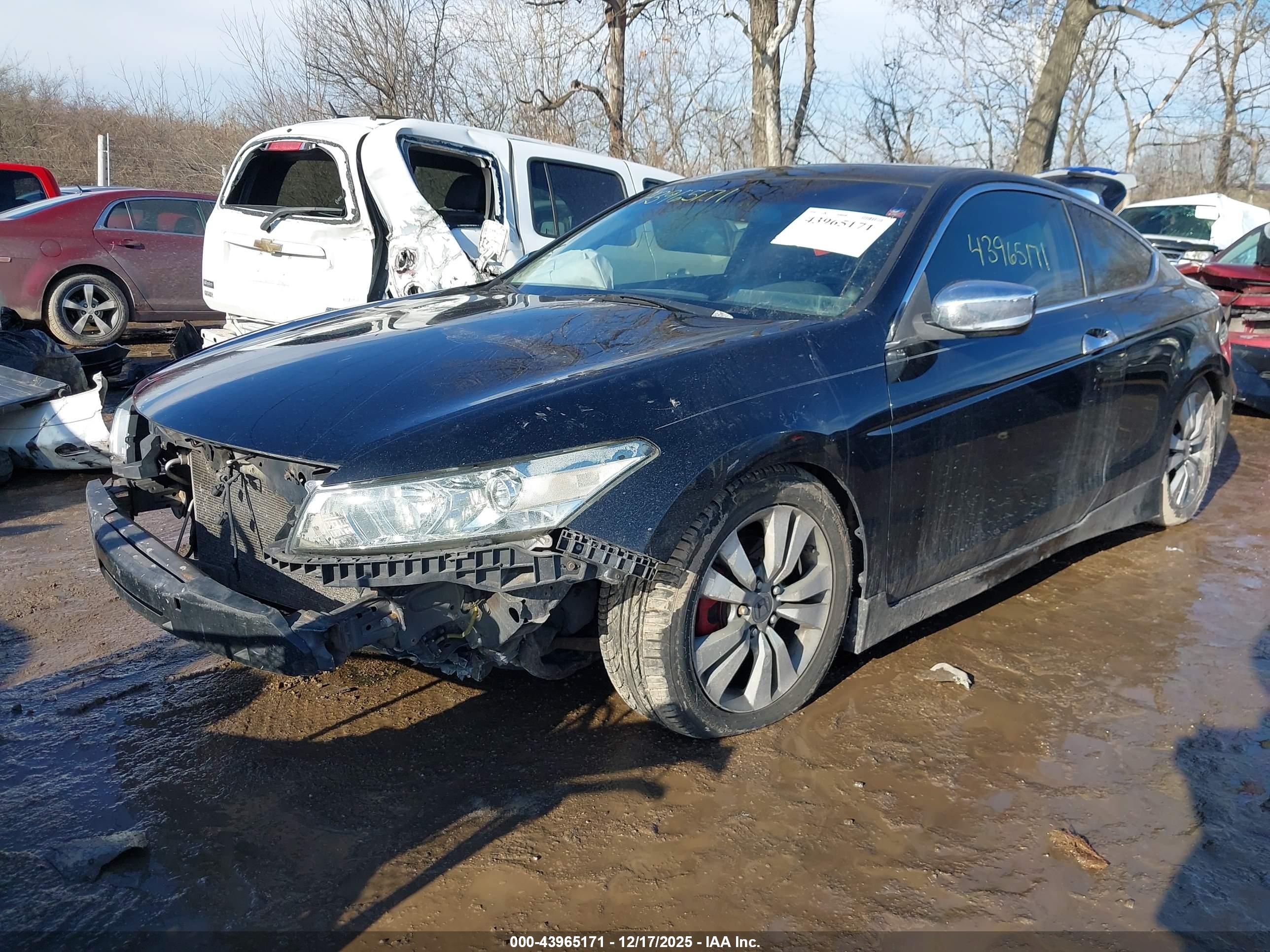 HONDA ACCORD image 6