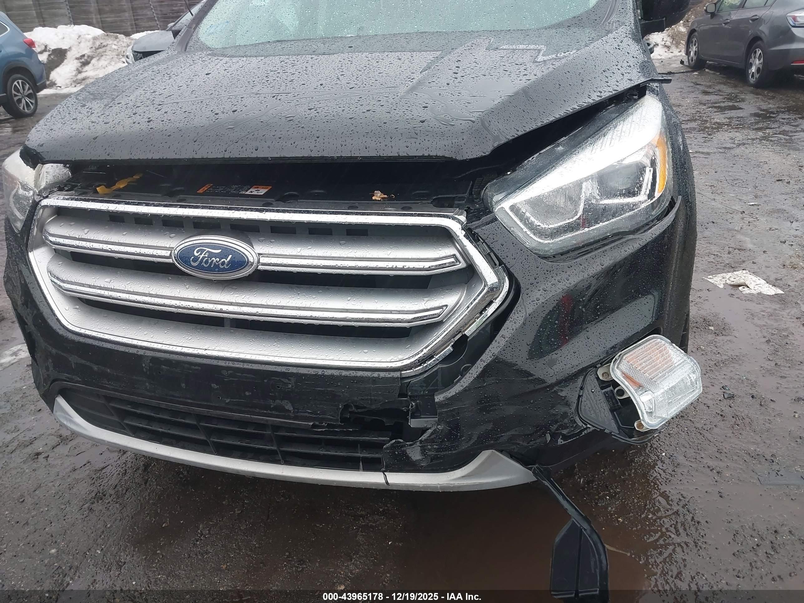 FORD ESCAPE image 6