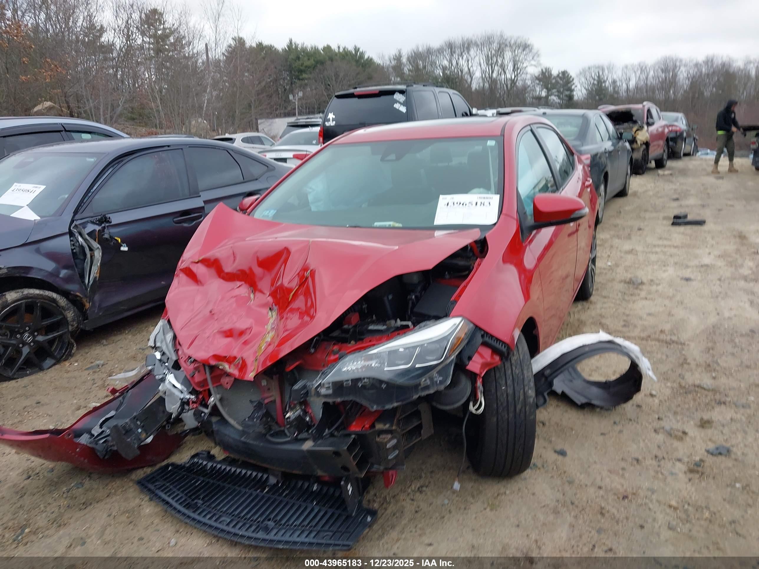 TOYOTA COROLLA image 2
