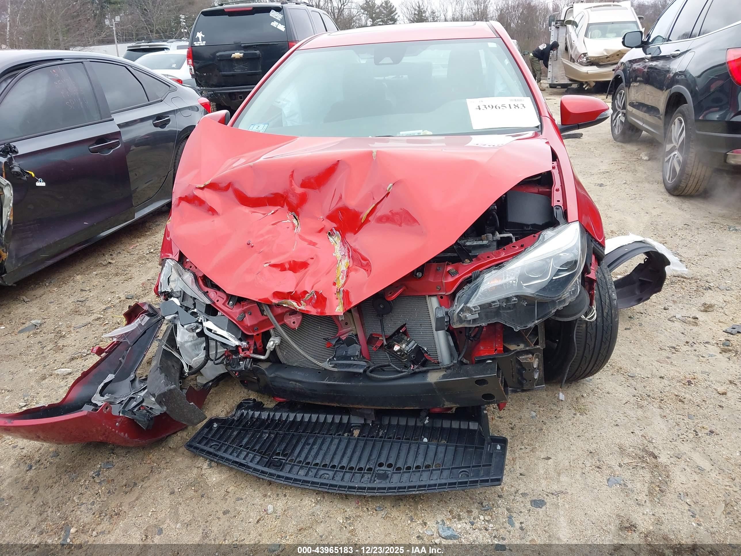 TOYOTA COROLLA image 6