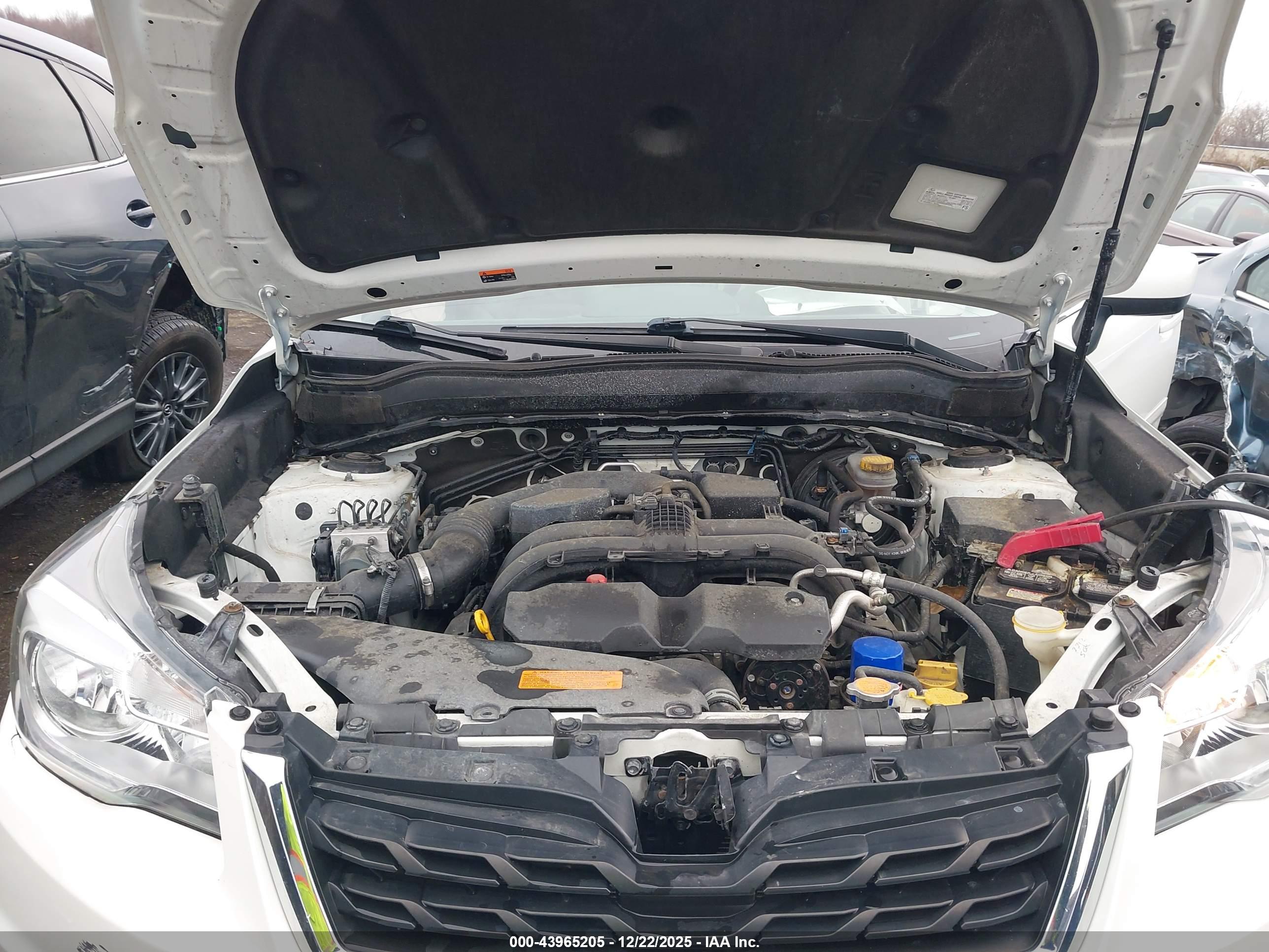 SUBARU FORESTER image 10