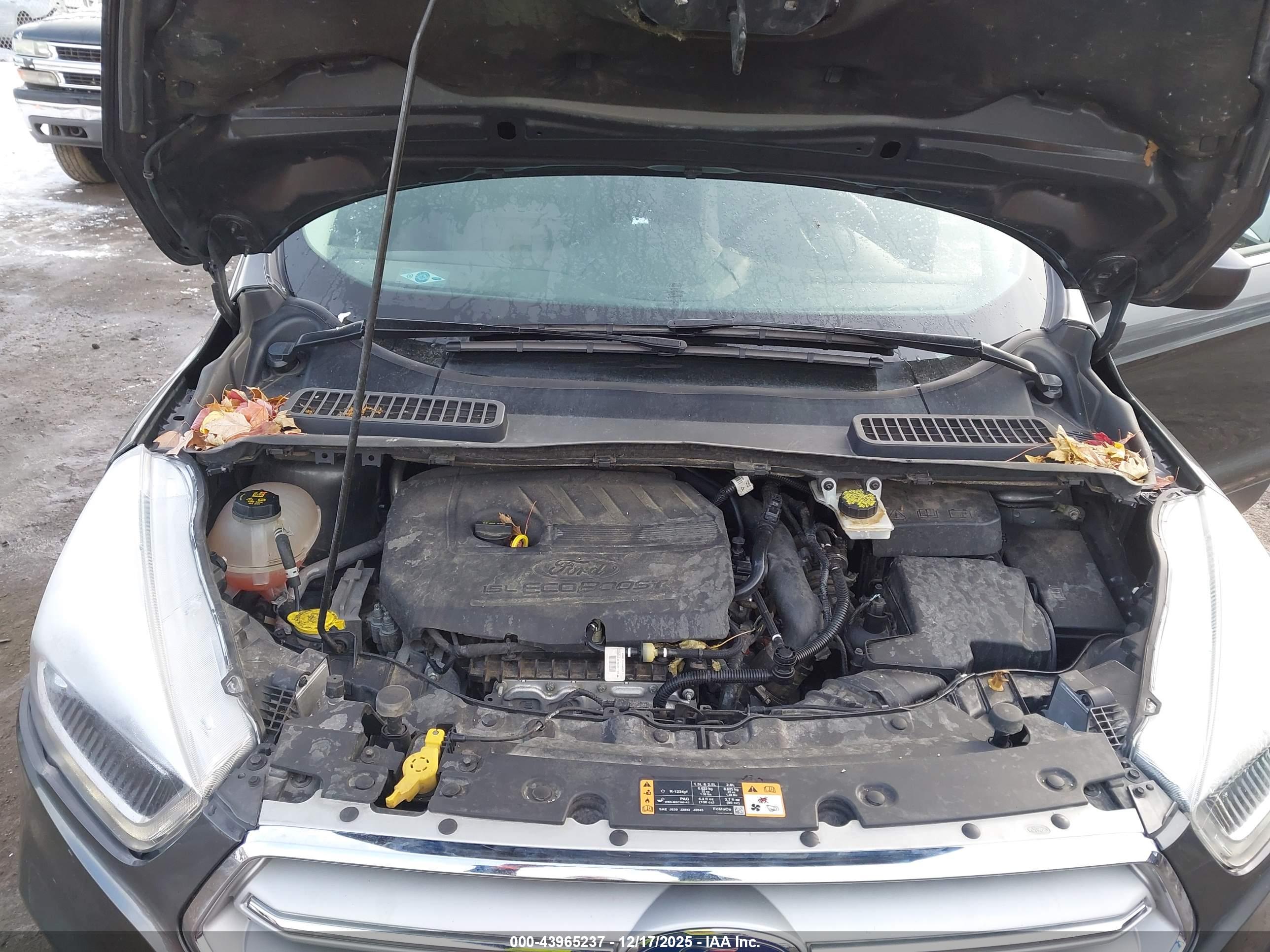 FORD ESCAPE image 10