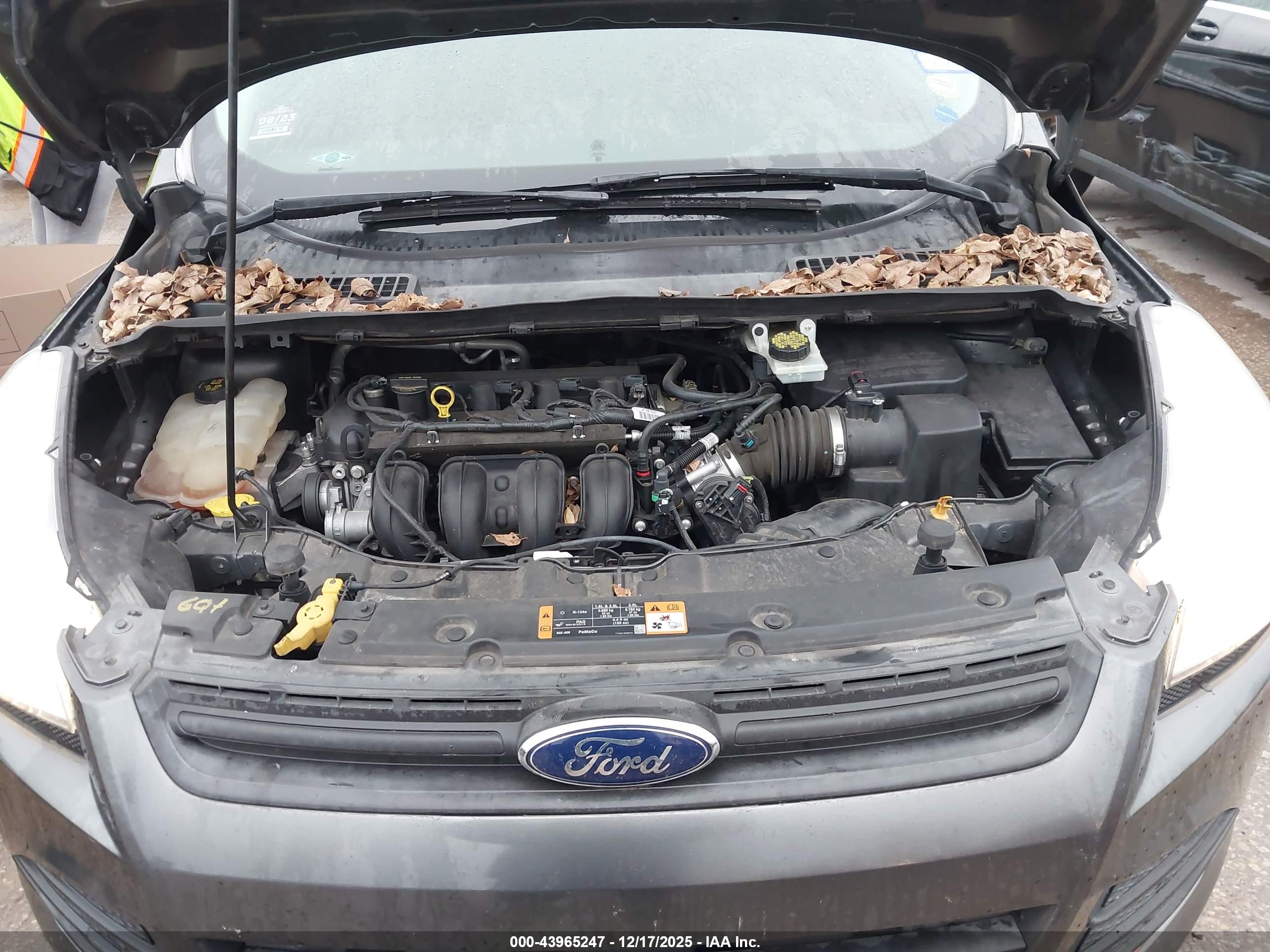 FORD ESCAPE image 10