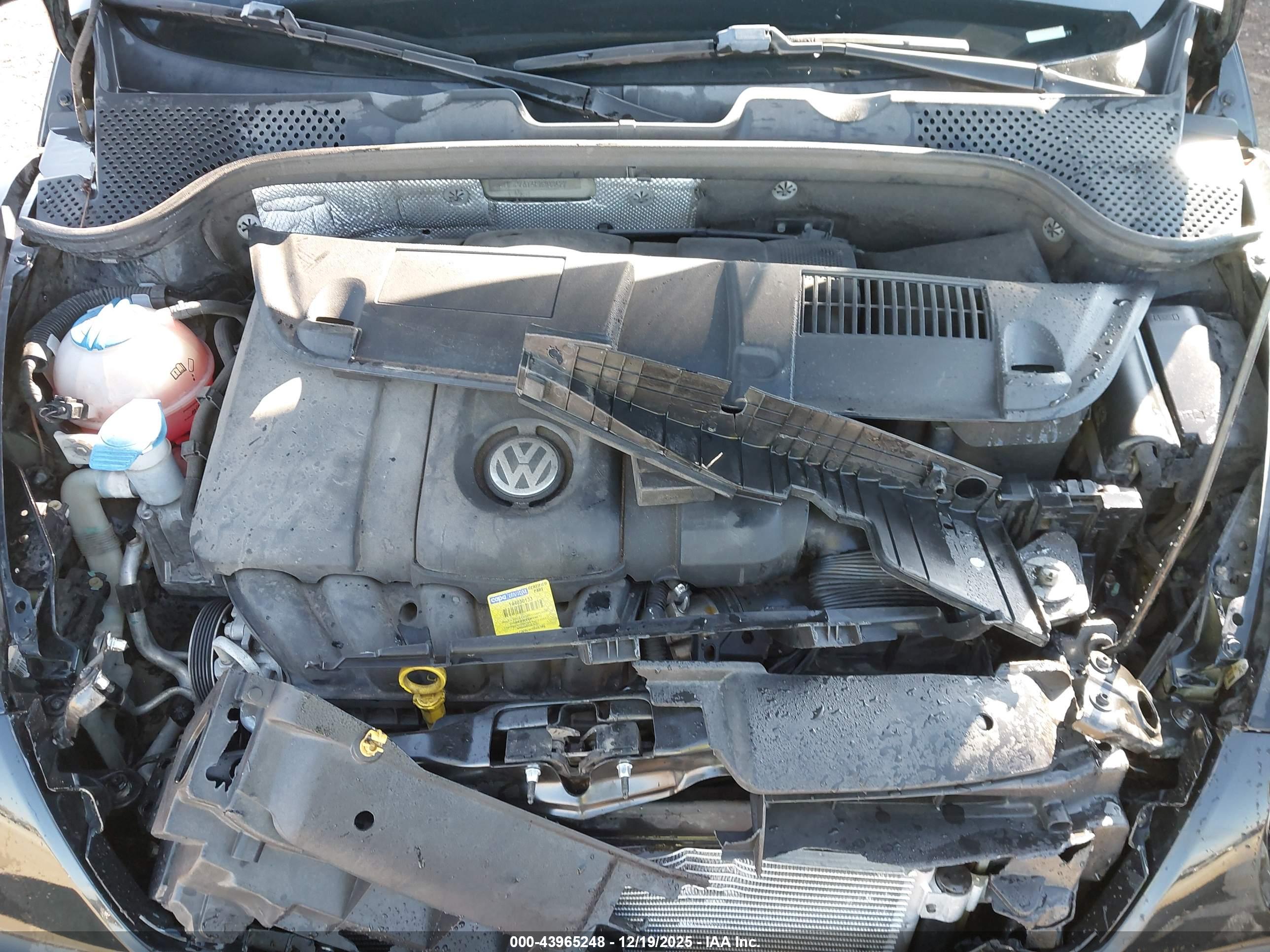 VOLKSWAGEN BEETLE image 10