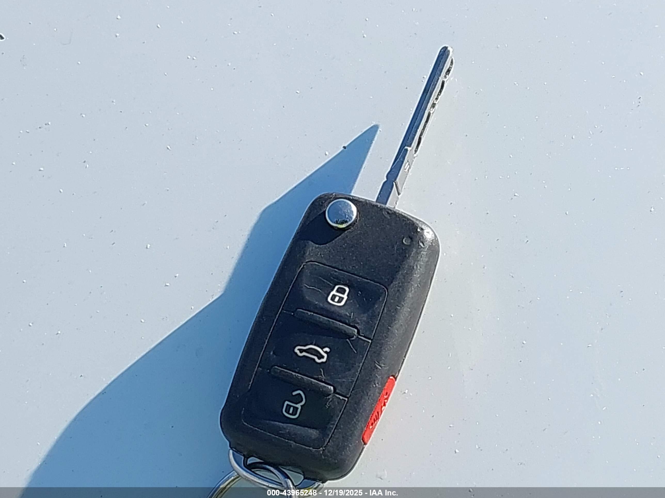 VOLKSWAGEN BEETLE image 11