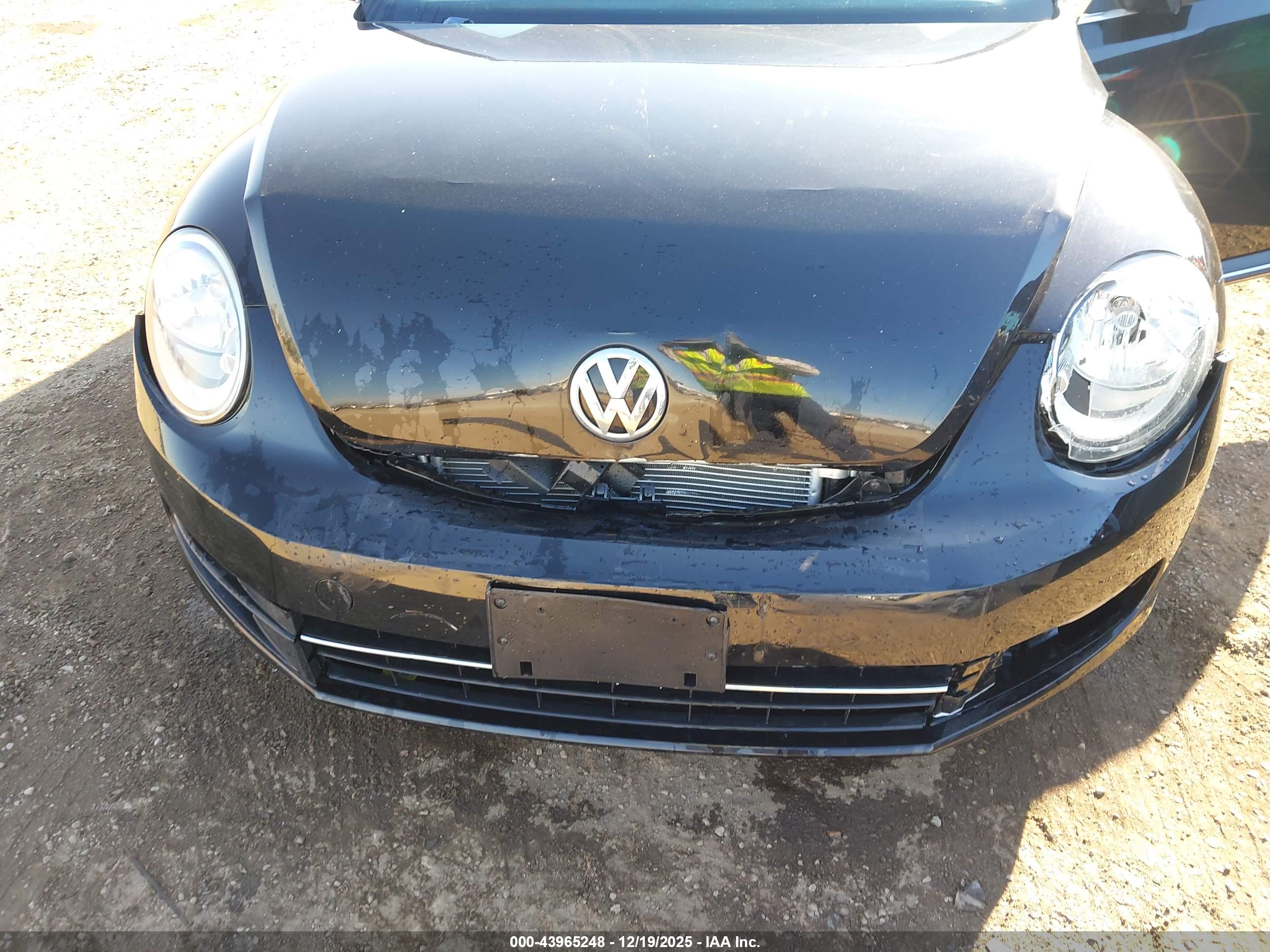 VOLKSWAGEN BEETLE image 6