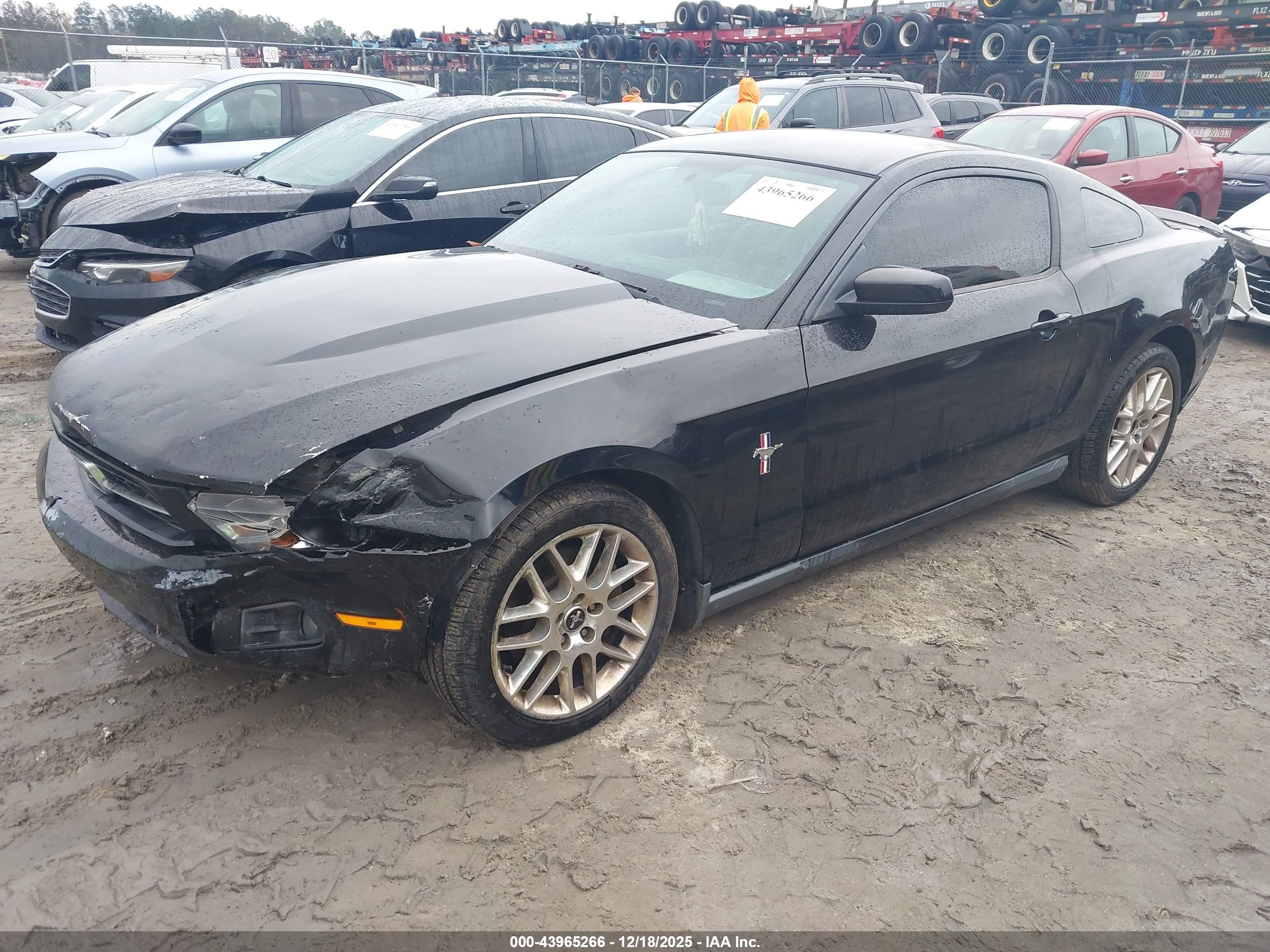 FORD MUSTANG image 2