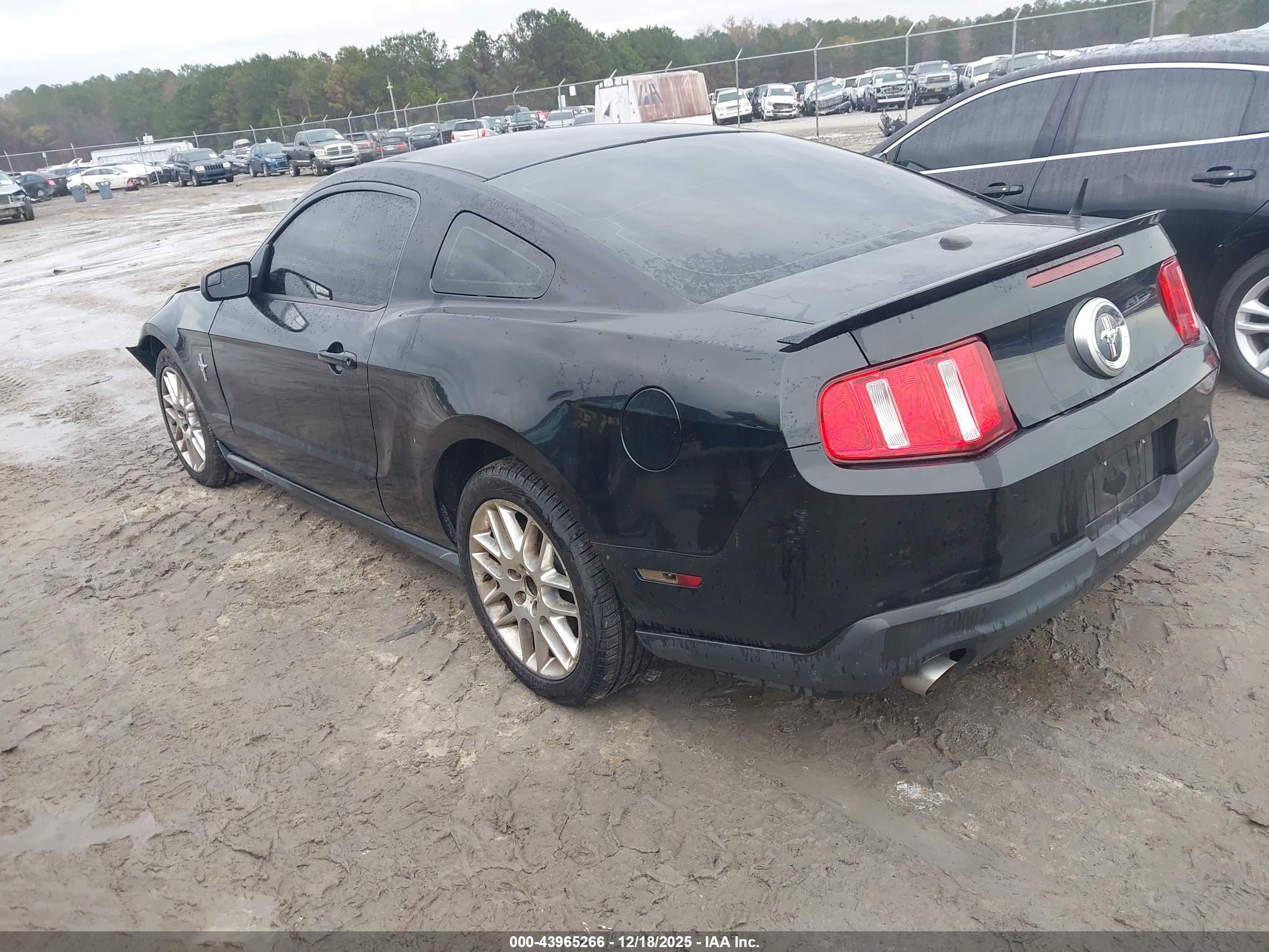 FORD MUSTANG image 3