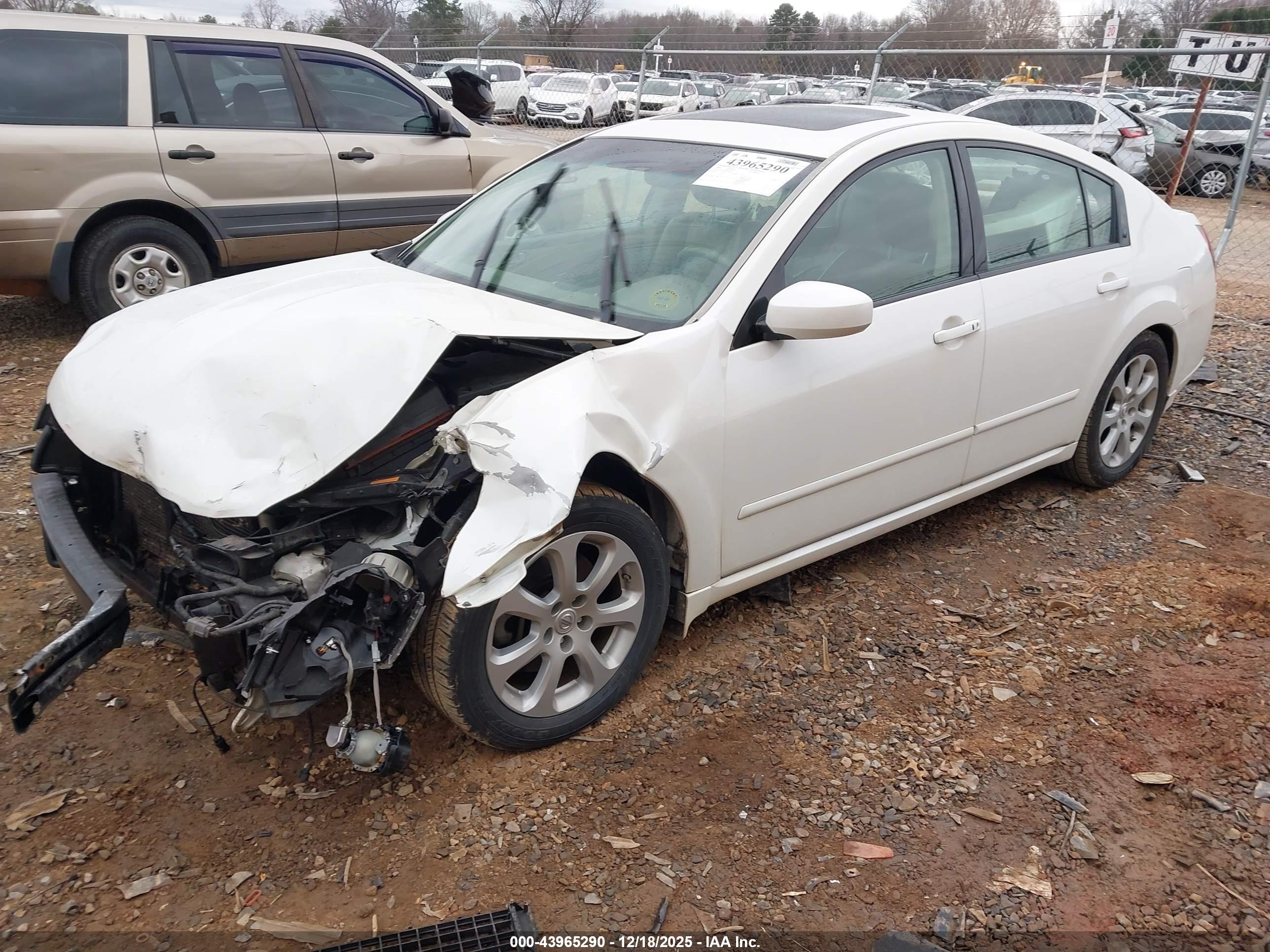 NISSAN MAXIMA image 2