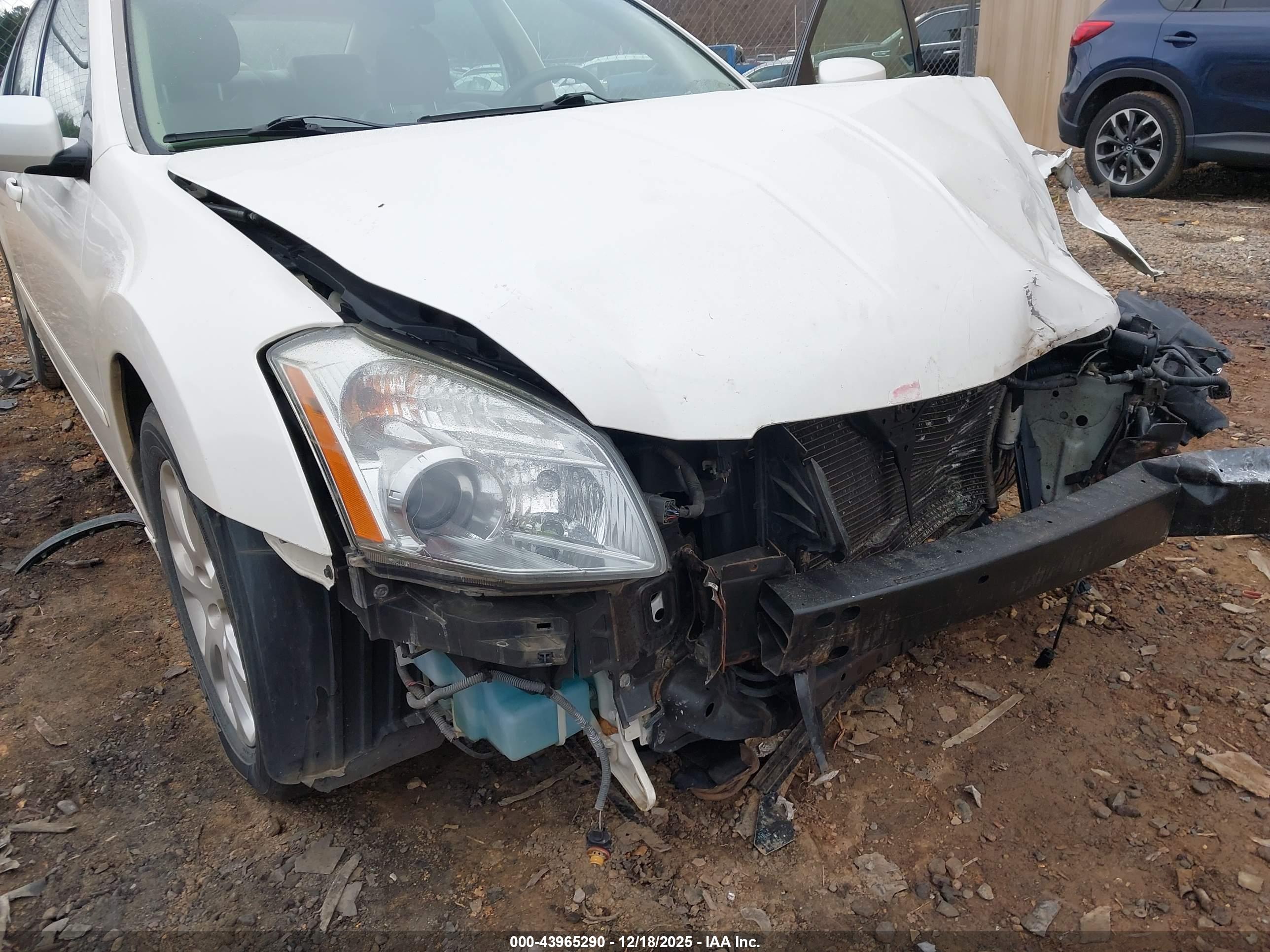 NISSAN MAXIMA image 6