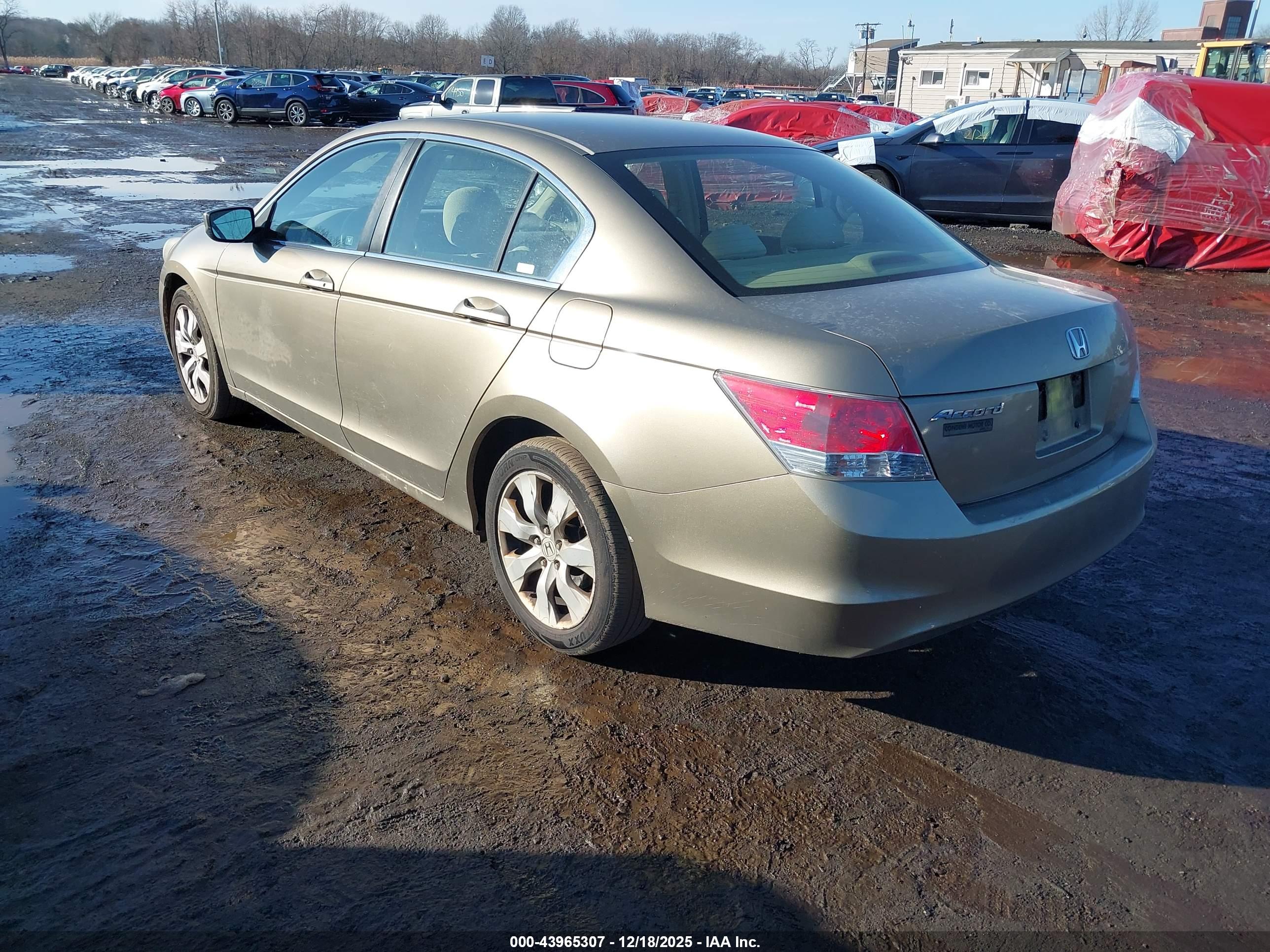HONDA ACCORD image 3