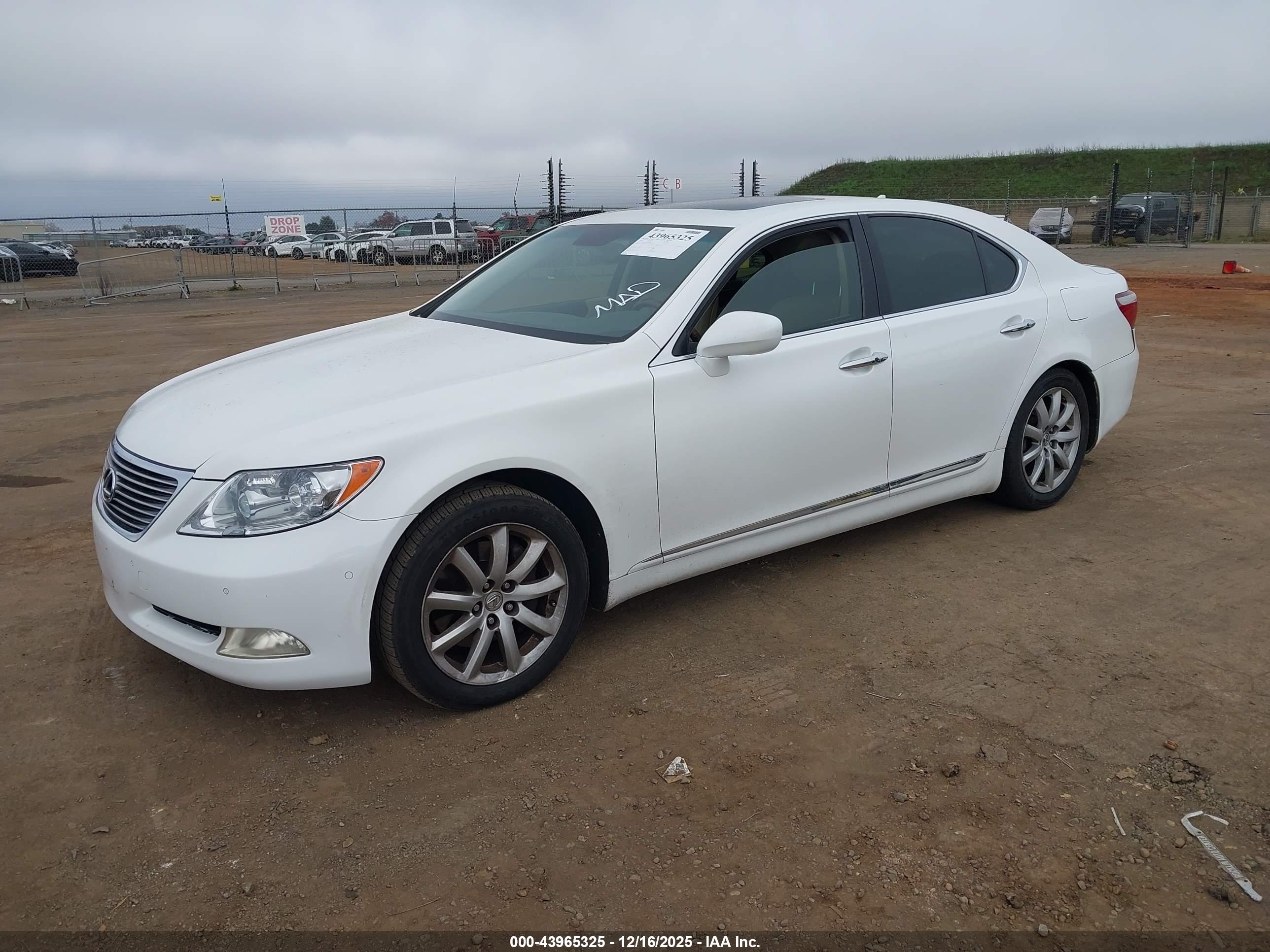 LEXUS LS image 2