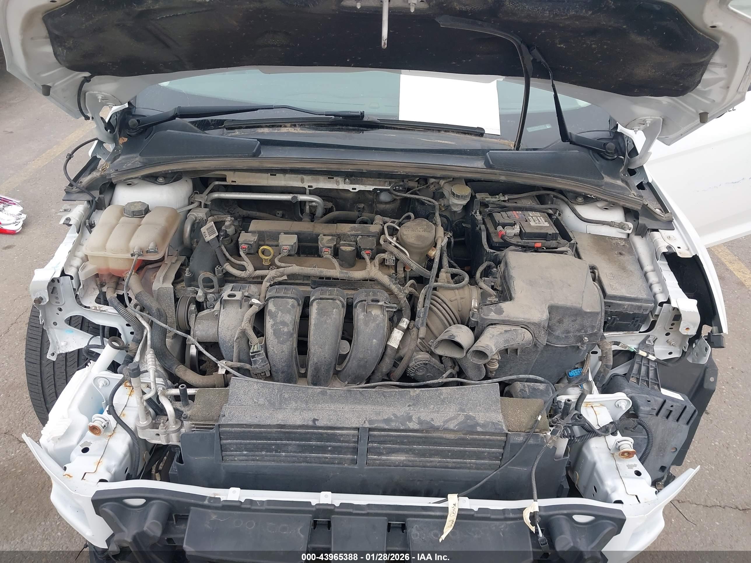 FORD FOCUS image 10