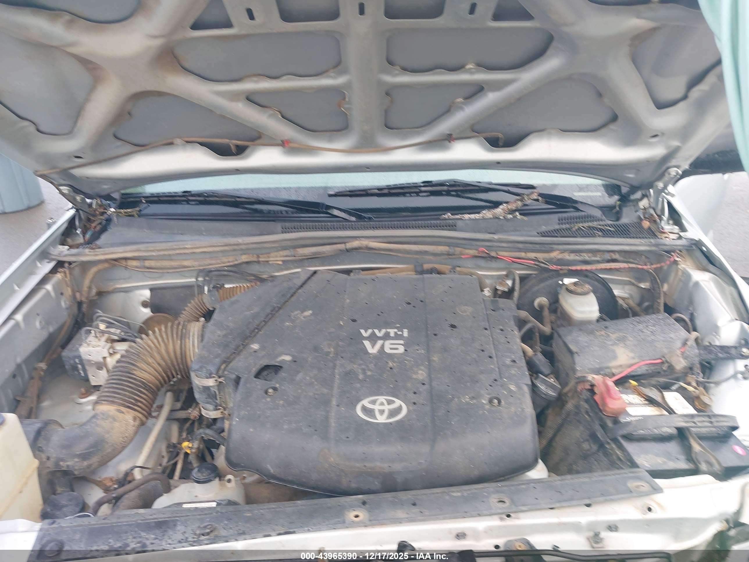 TOYOTA TACOMA image 10