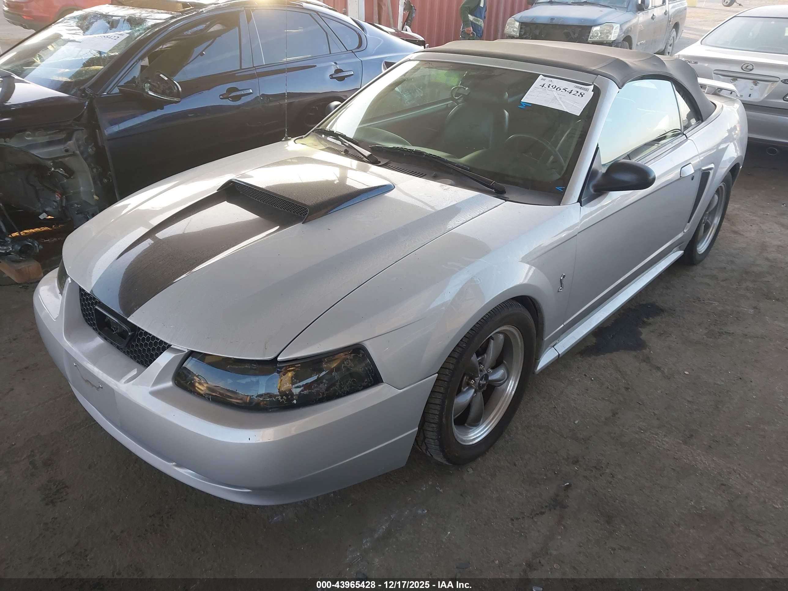 FORD MUSTANG image 2