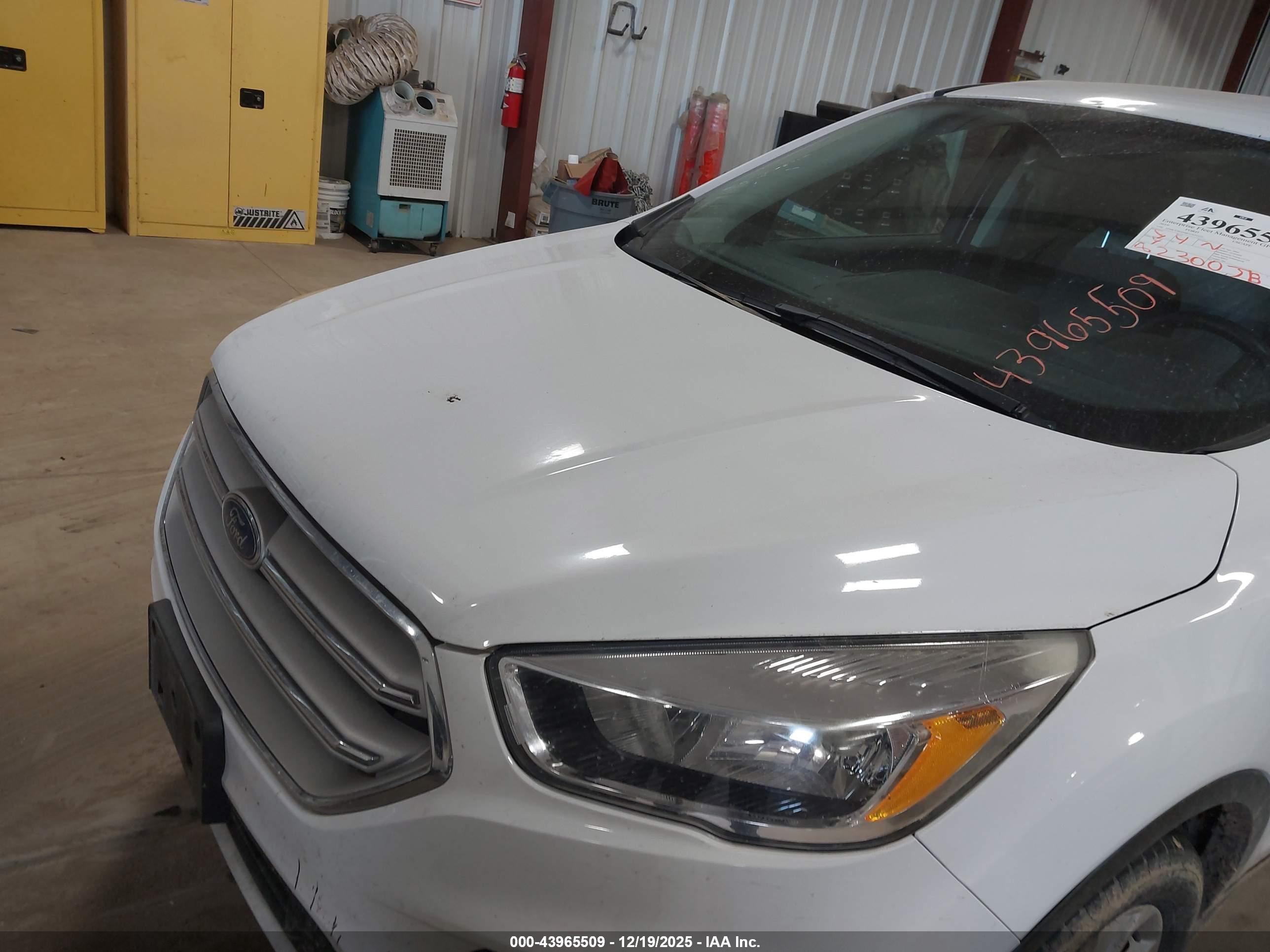 FORD ESCAPE image 6