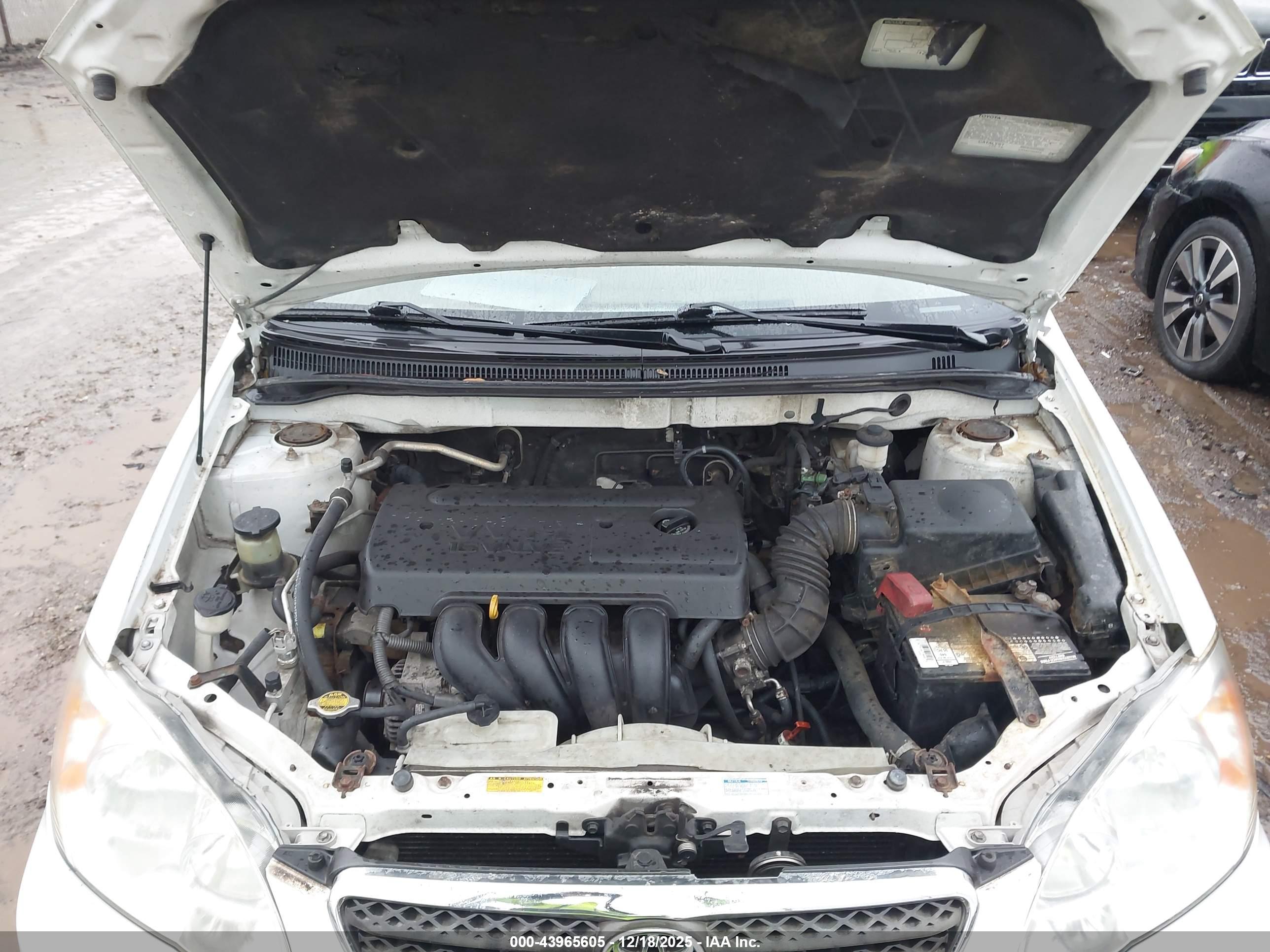 TOYOTA COROLLA image 10