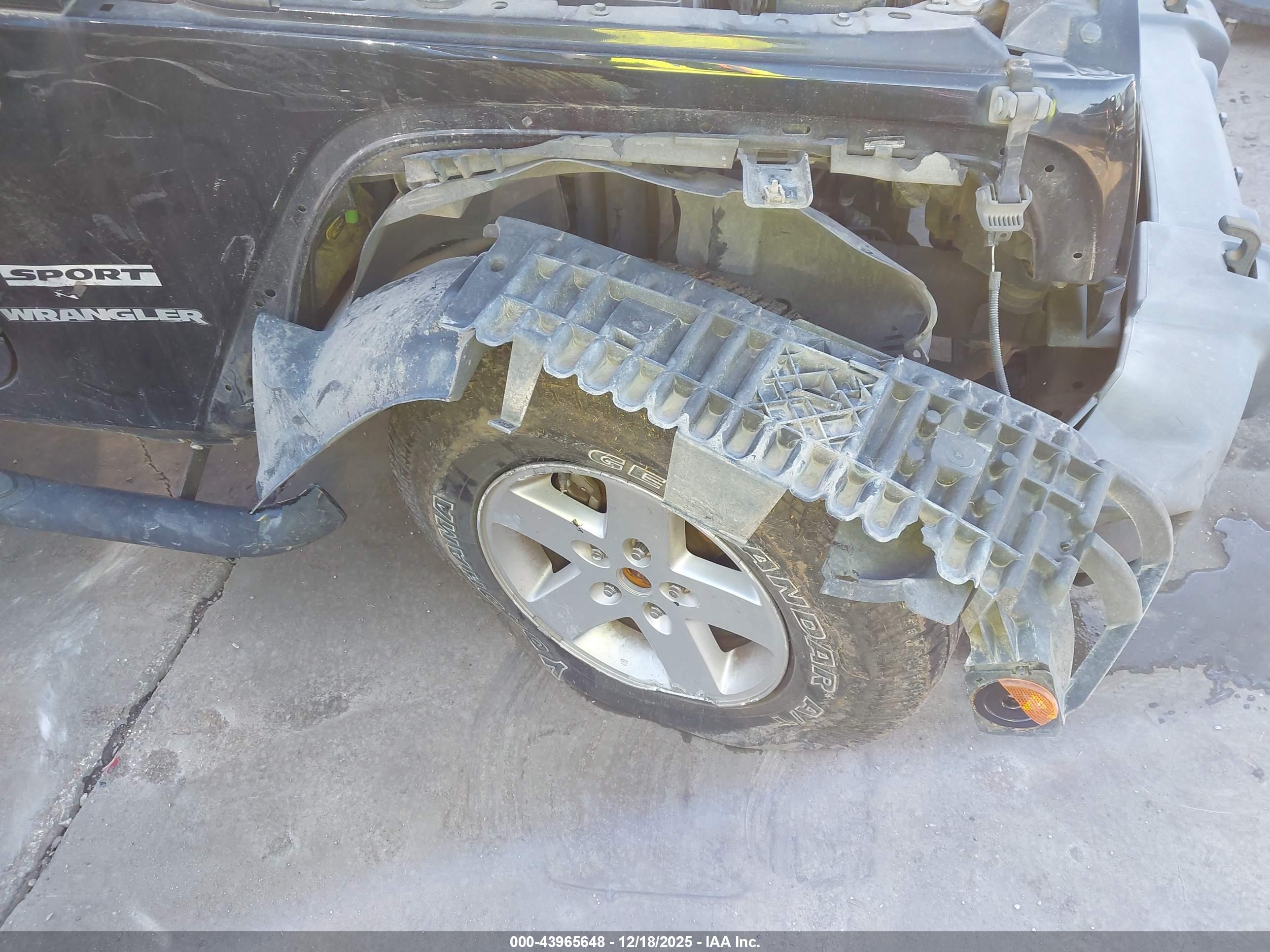 JEEP WRANGLER image 6