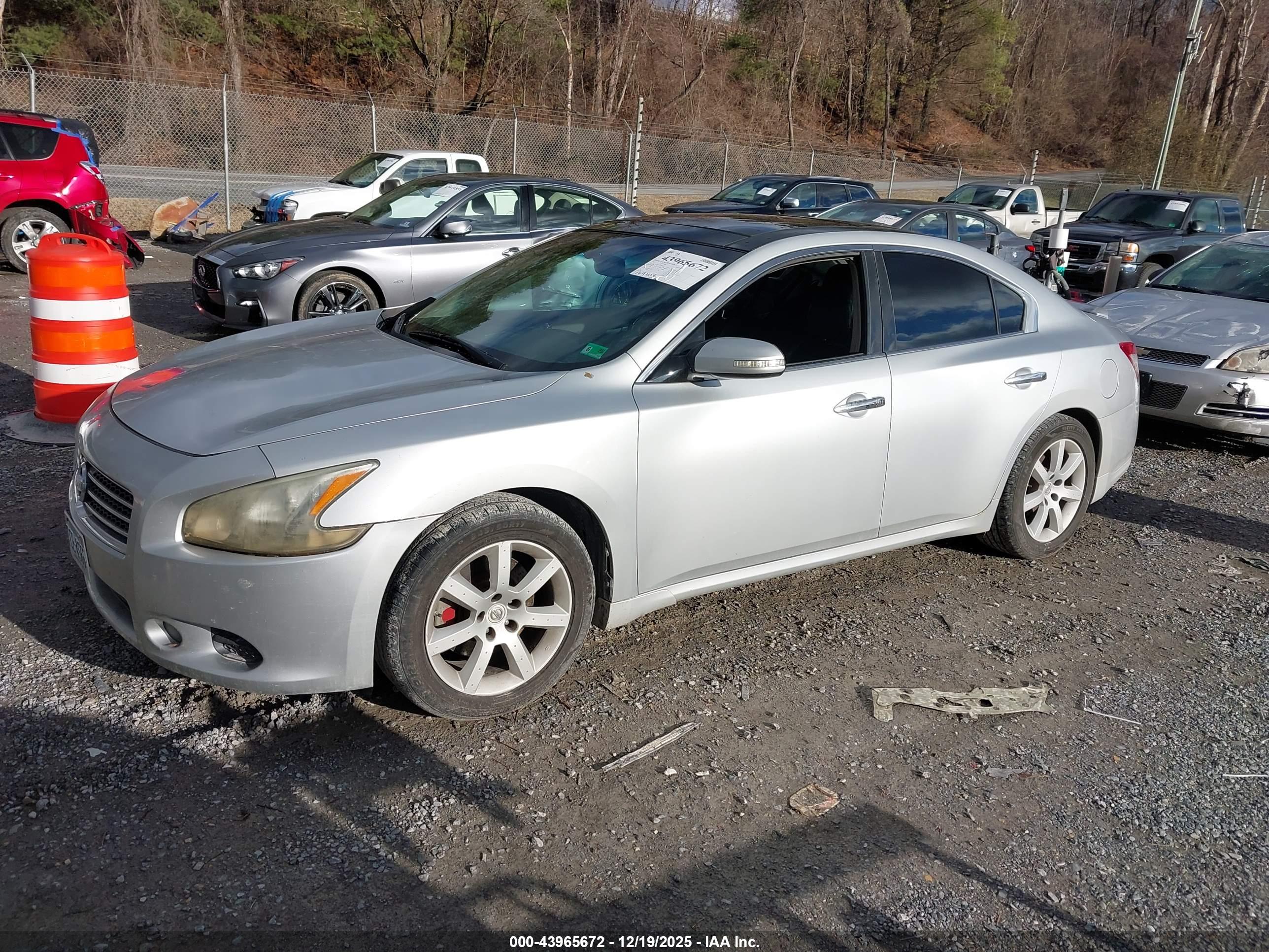 NISSAN MAXIMA image 2