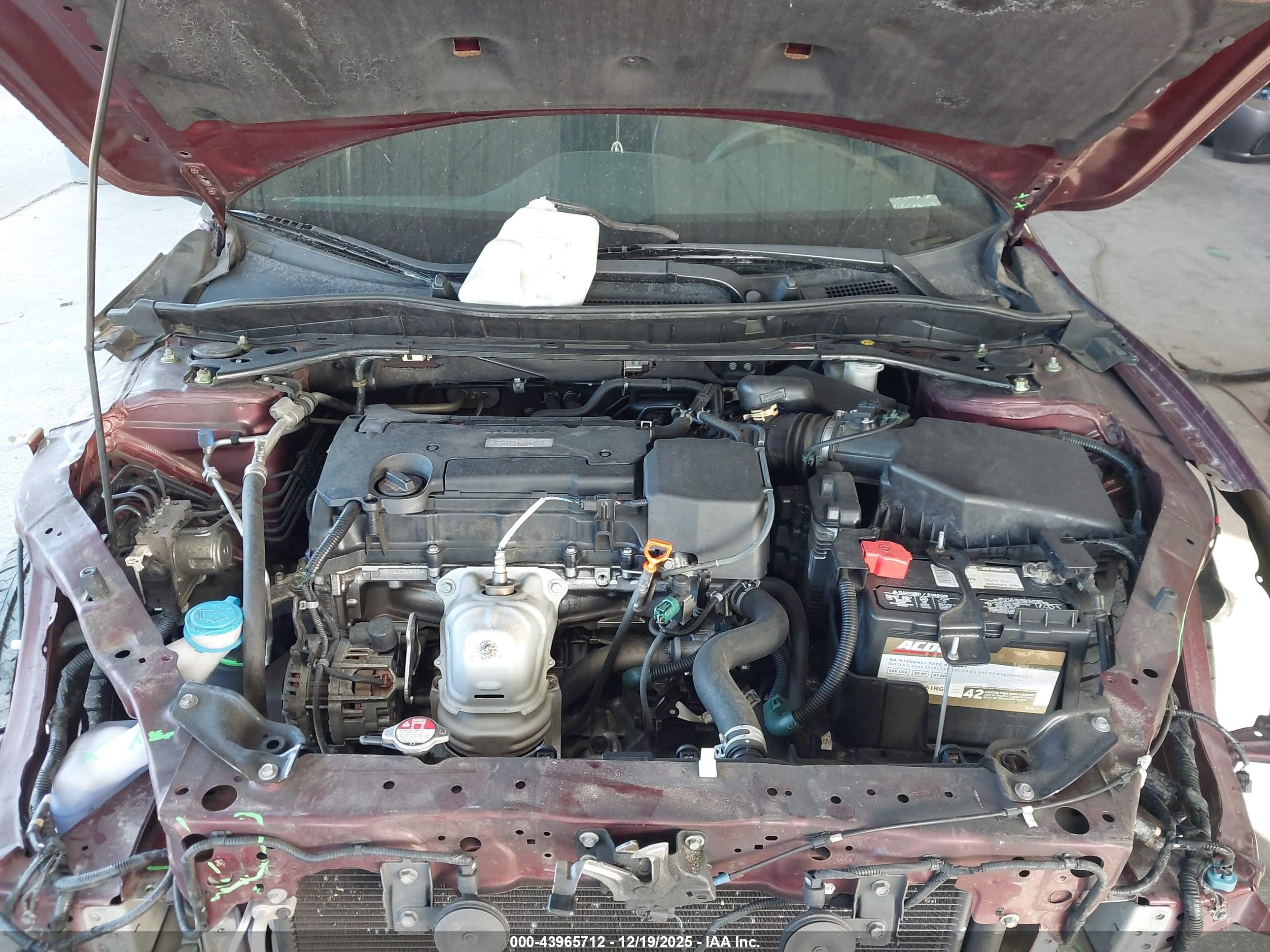 HONDA ACCORD image 10